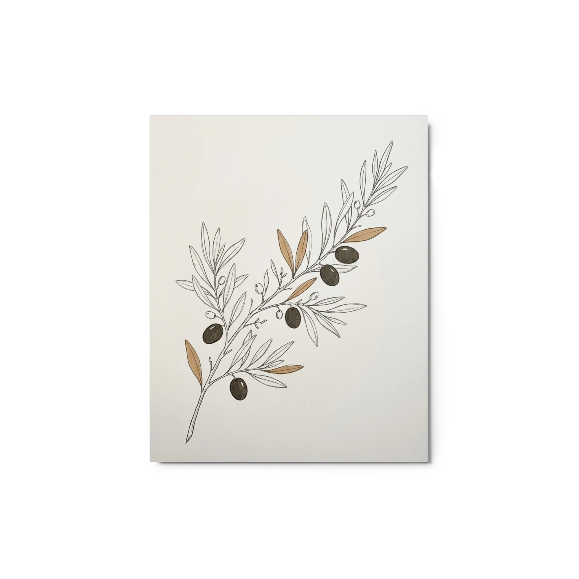 Olive Branch