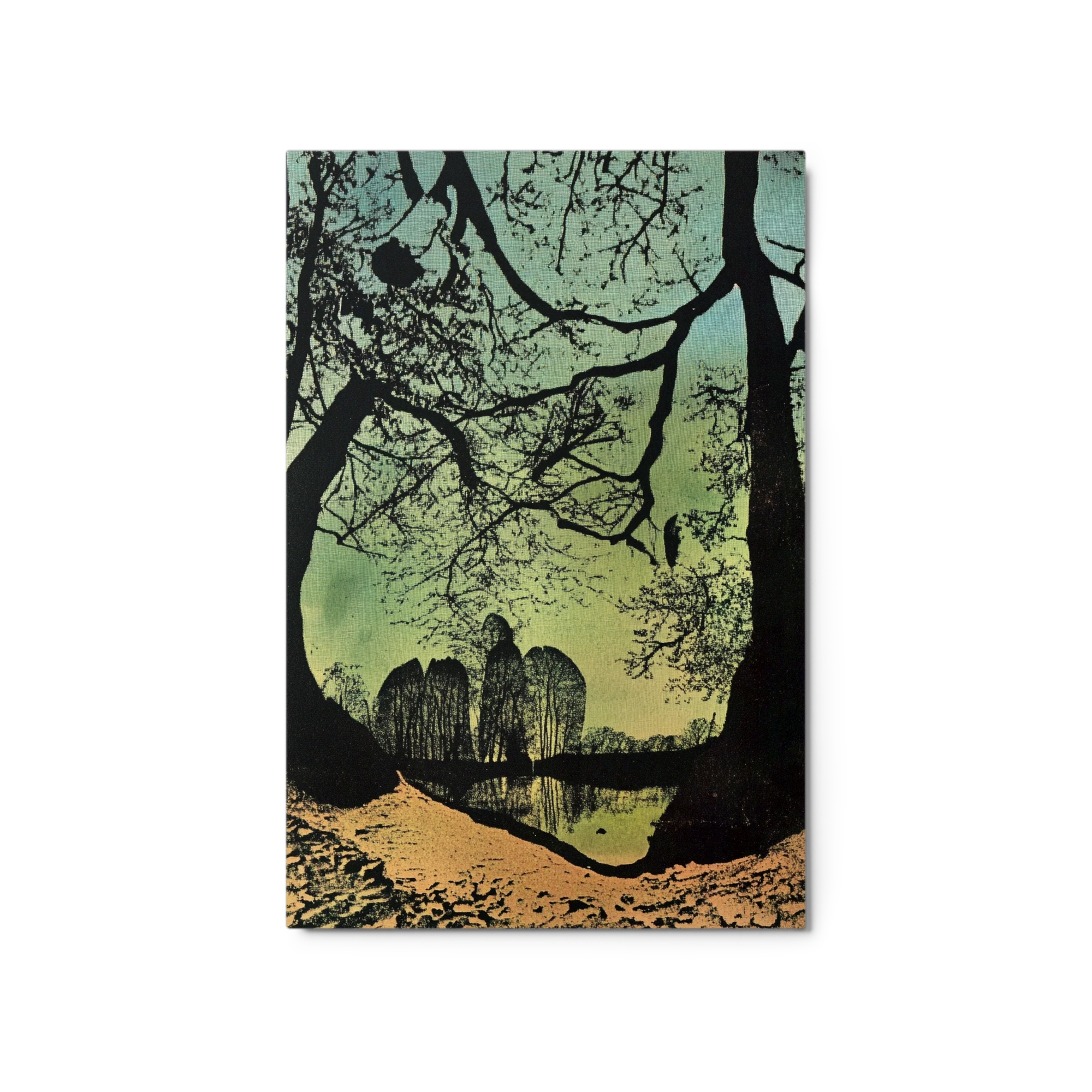 Reflected Silhouettes