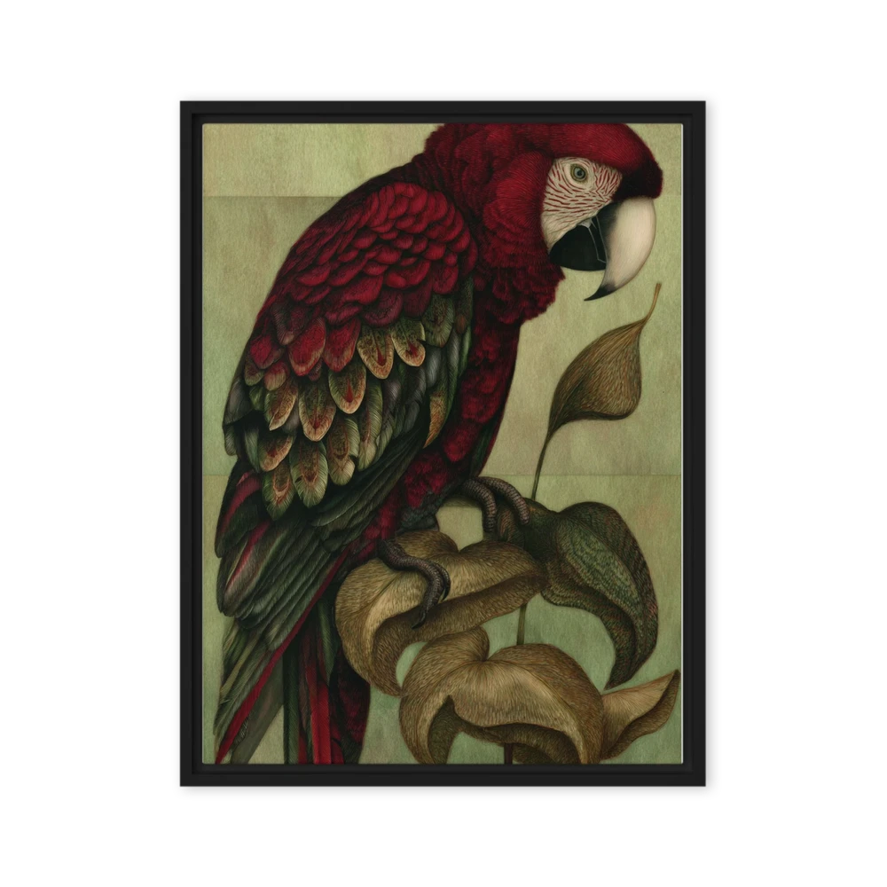 The Crimson Macaw | Art Print