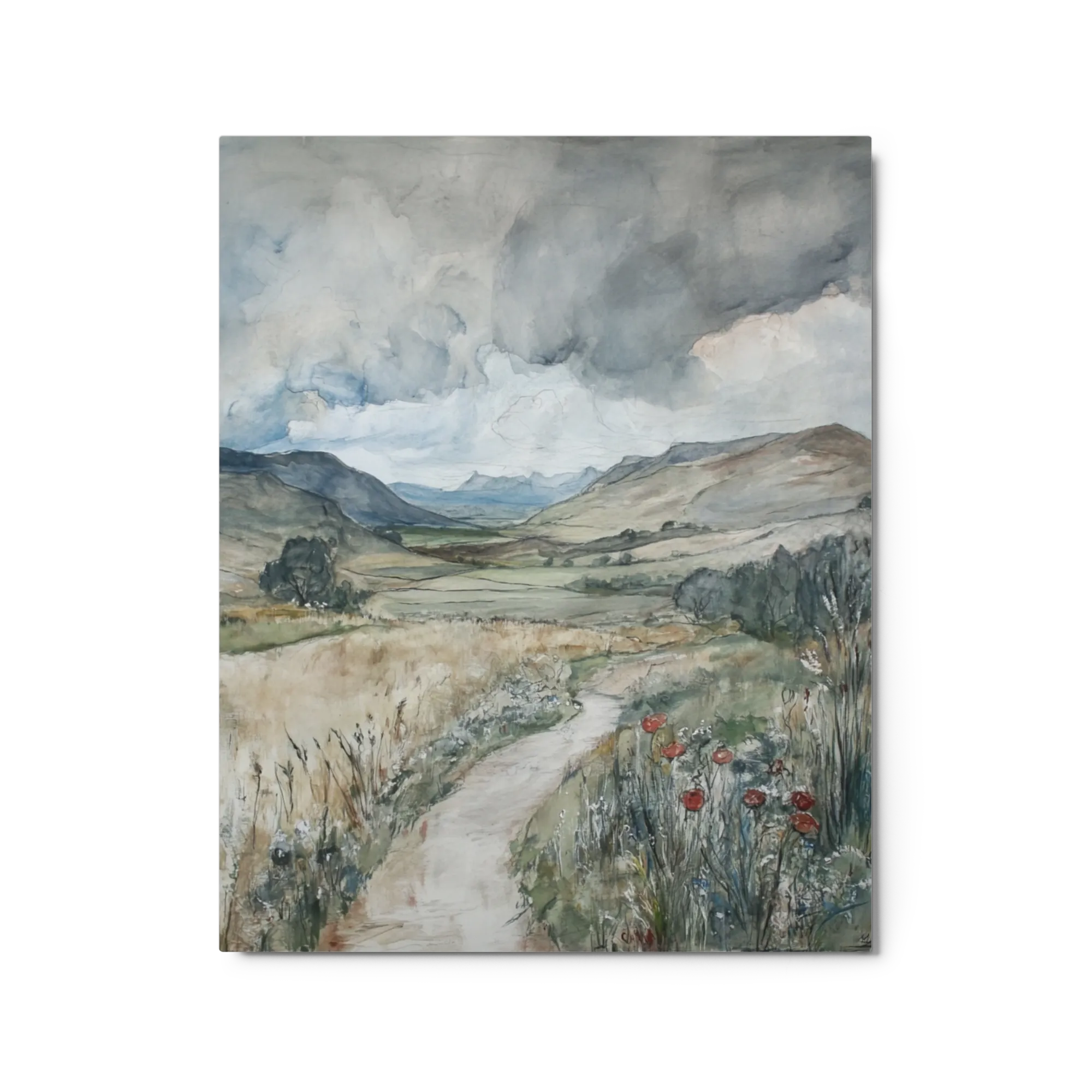 Winding Path Through Hills