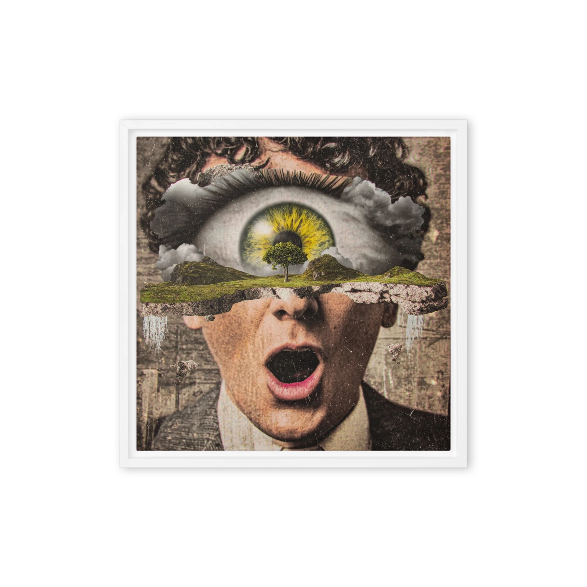 Vision of the Mind