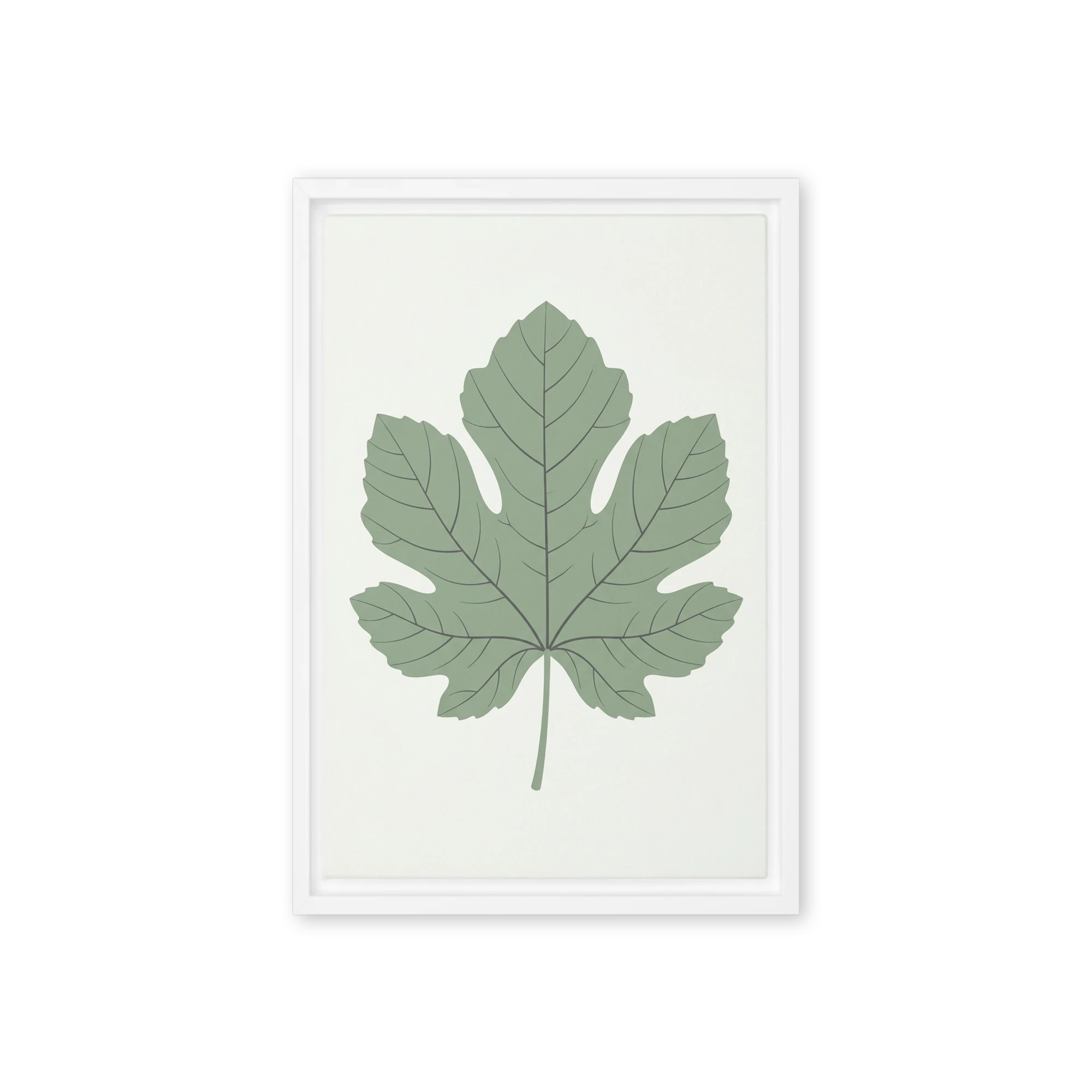 Fig Leaf Study