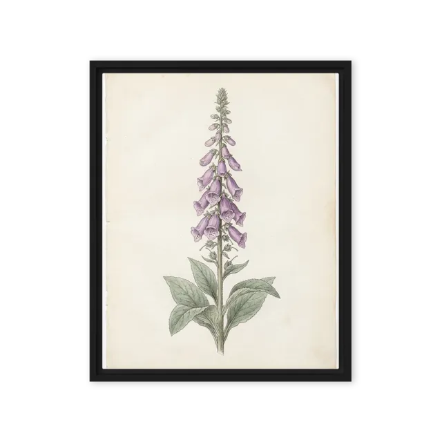 Regal Foxglove Bloom | Art Print