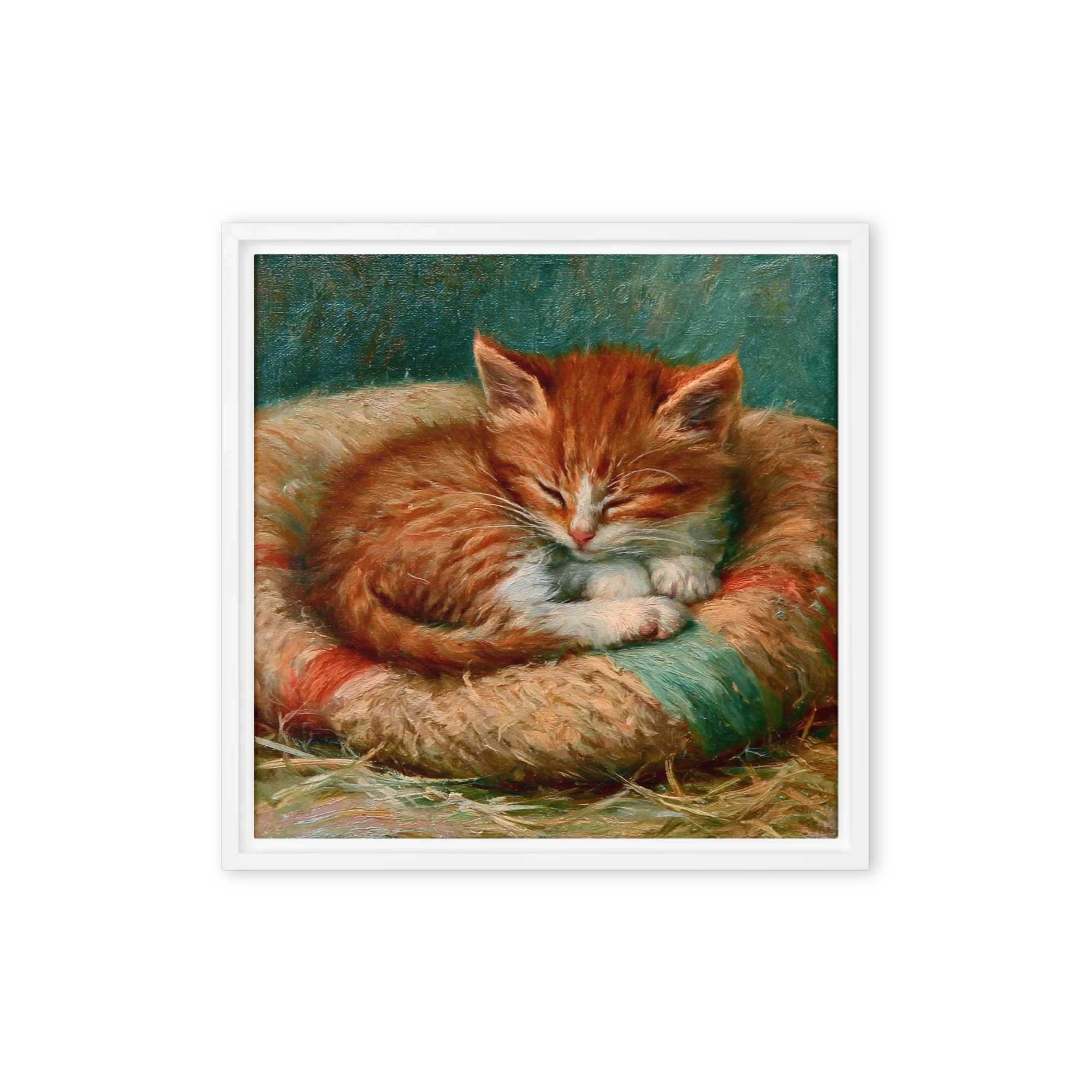 Sleeping Ginger Kitten