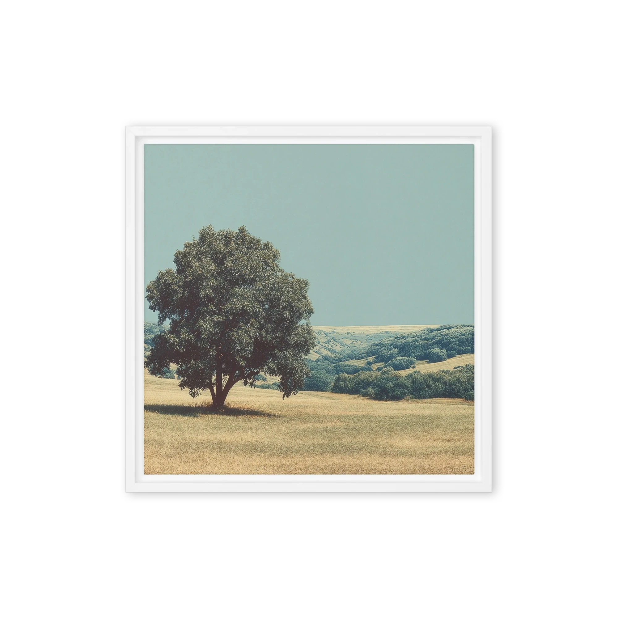 Solitary Tree in Golden Field
