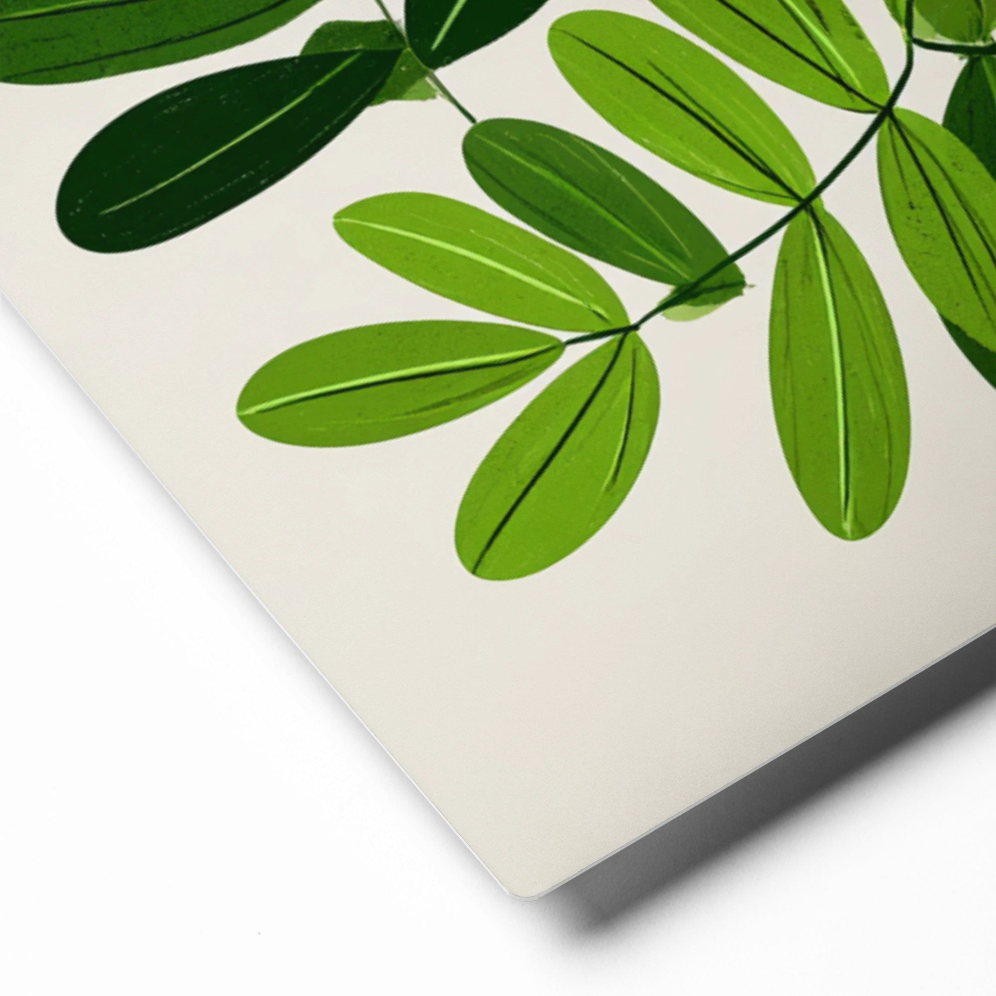 Red Berries and Green Leaves | Art Print