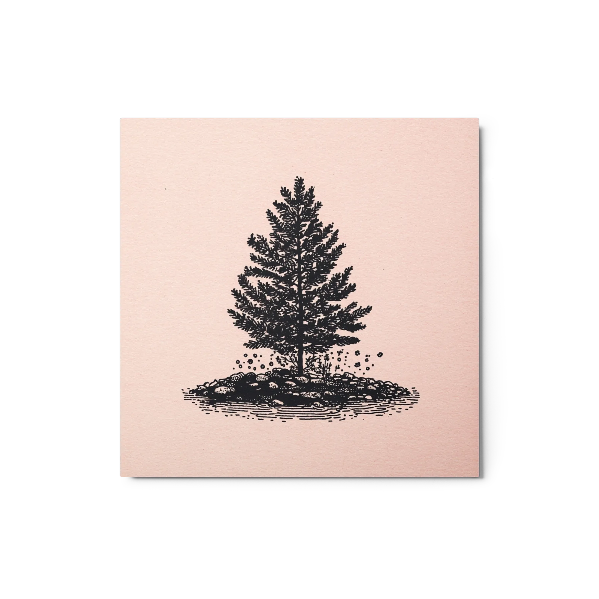 Solitary Pine