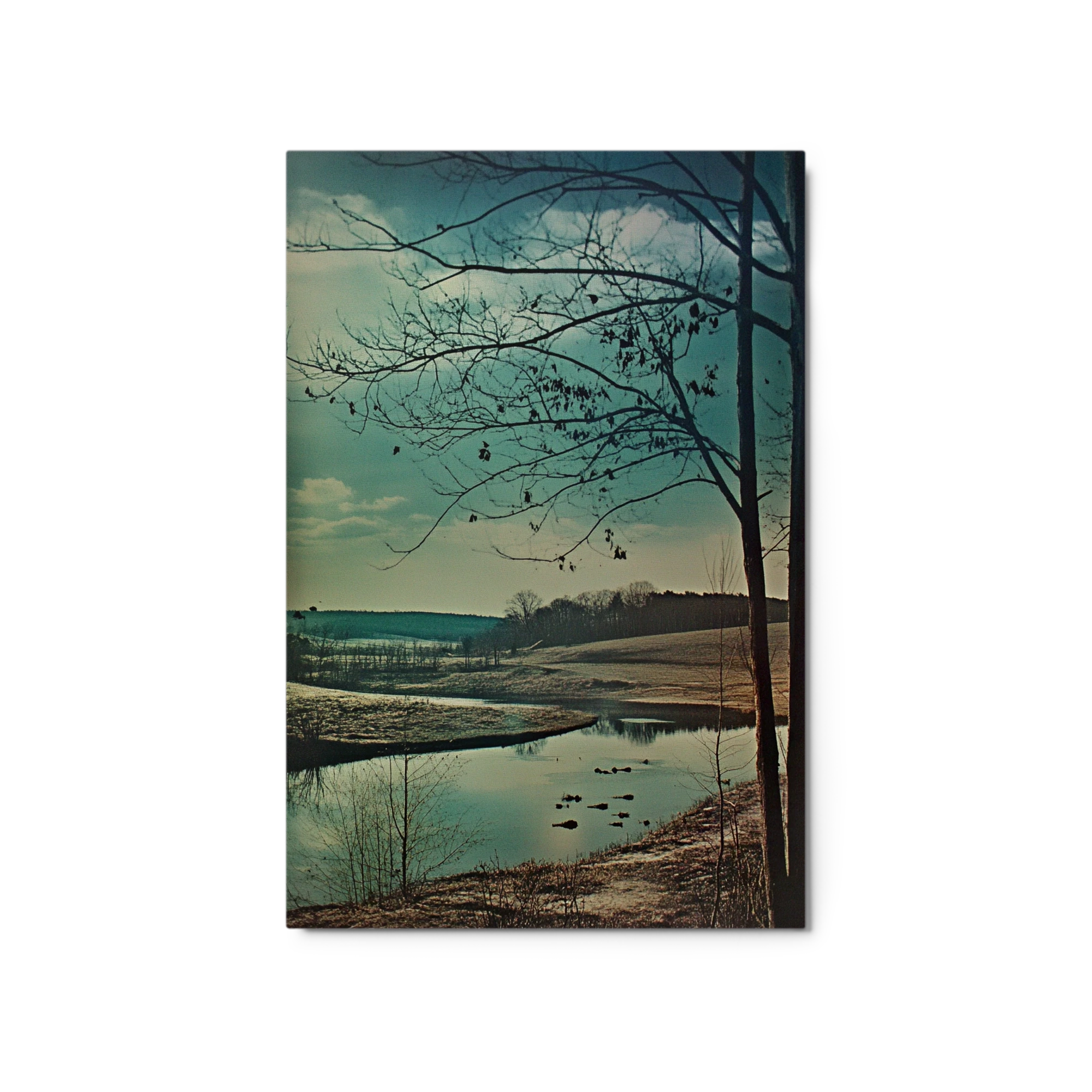Tranquil Landscape with Water and Trees