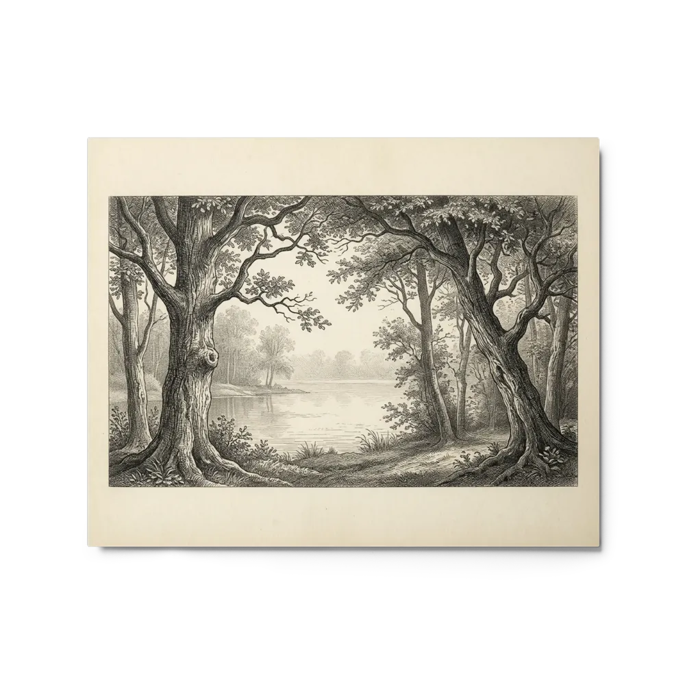 The Lakeside Forest | Art Print