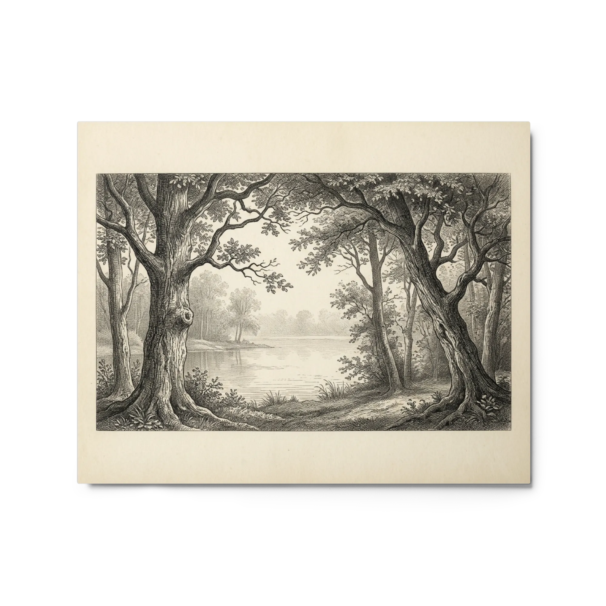 La Foresta sul Lago