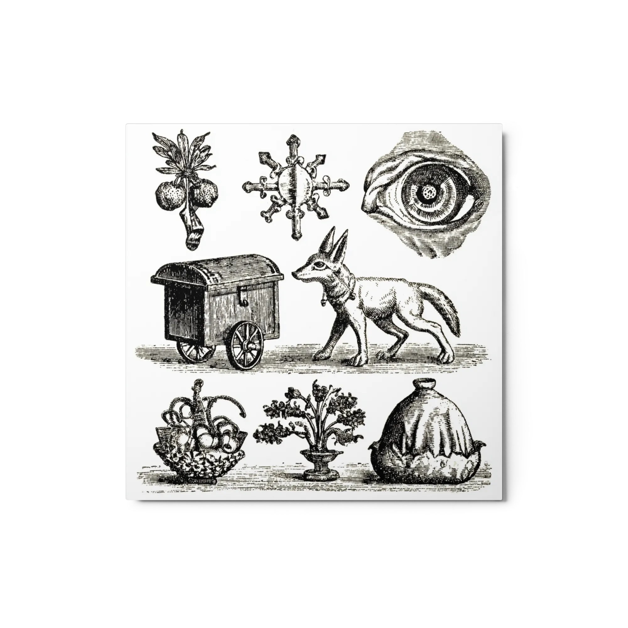 Cabinet of Curiosities