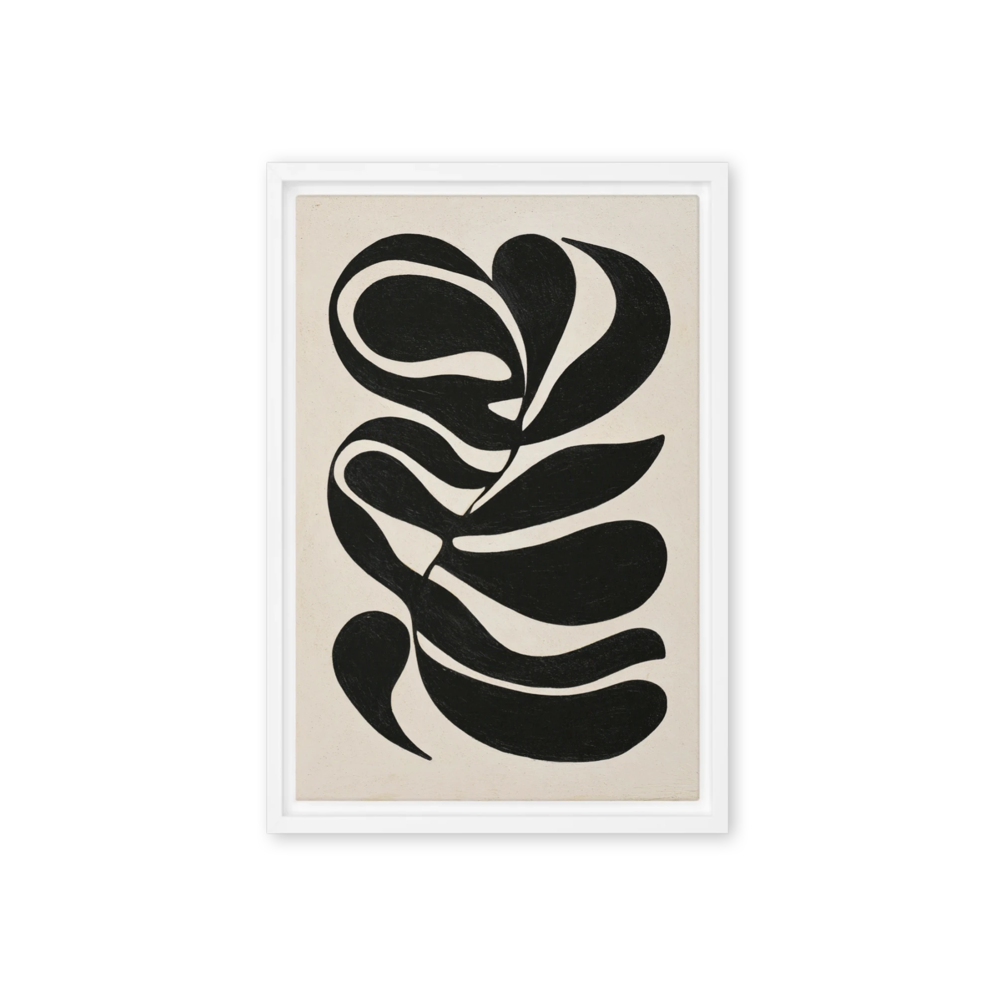 Biomorphic Botanical Shapes