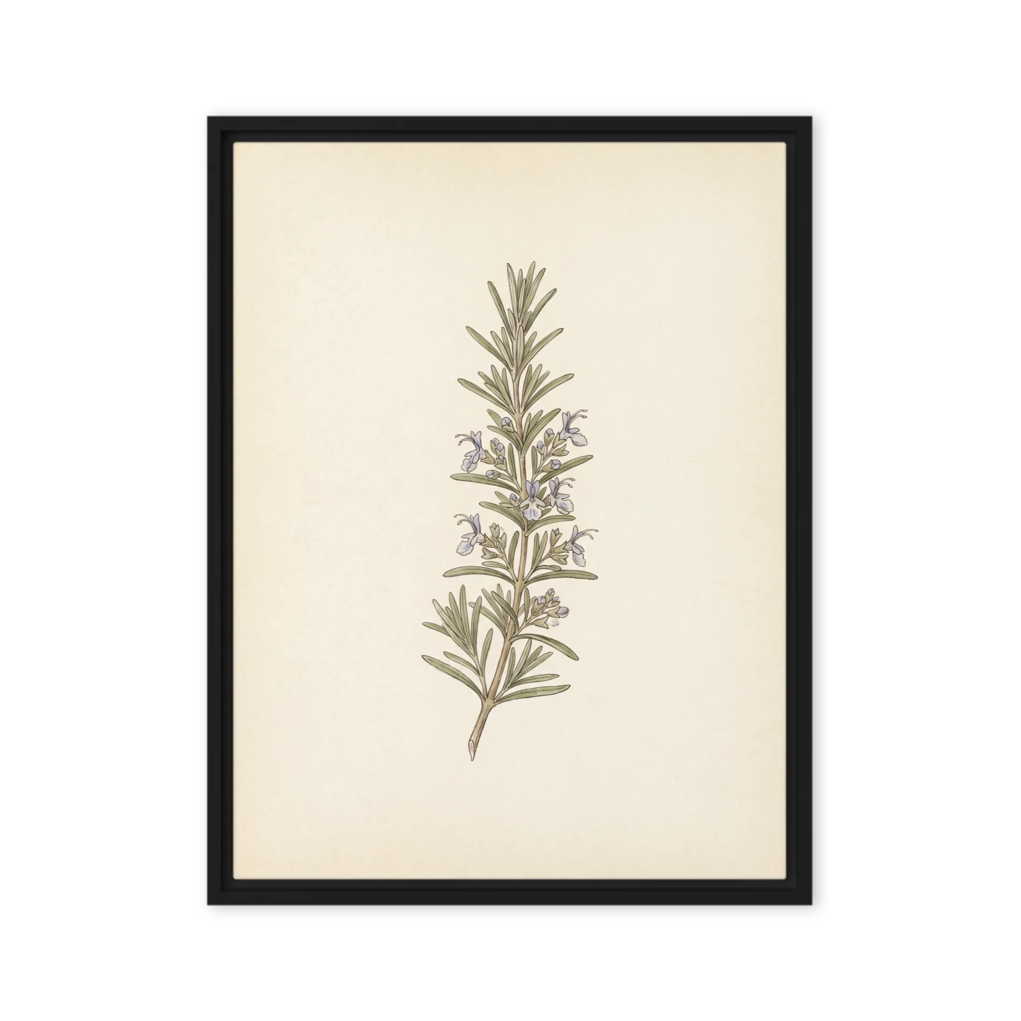 Rosemary Sprig