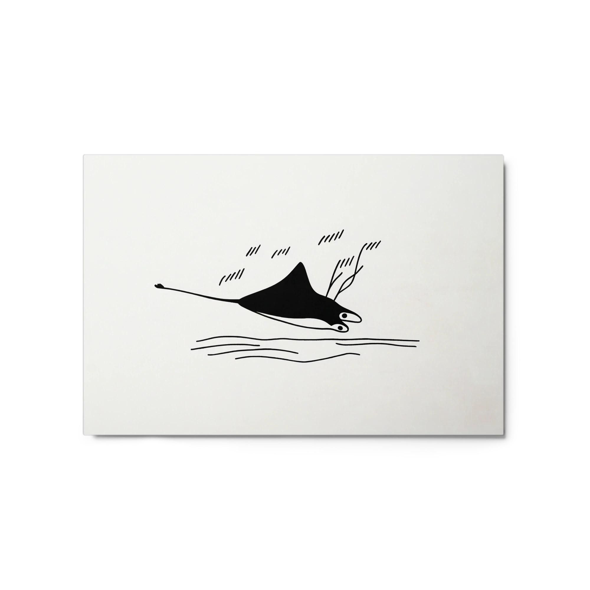 Gliding Manta Ray