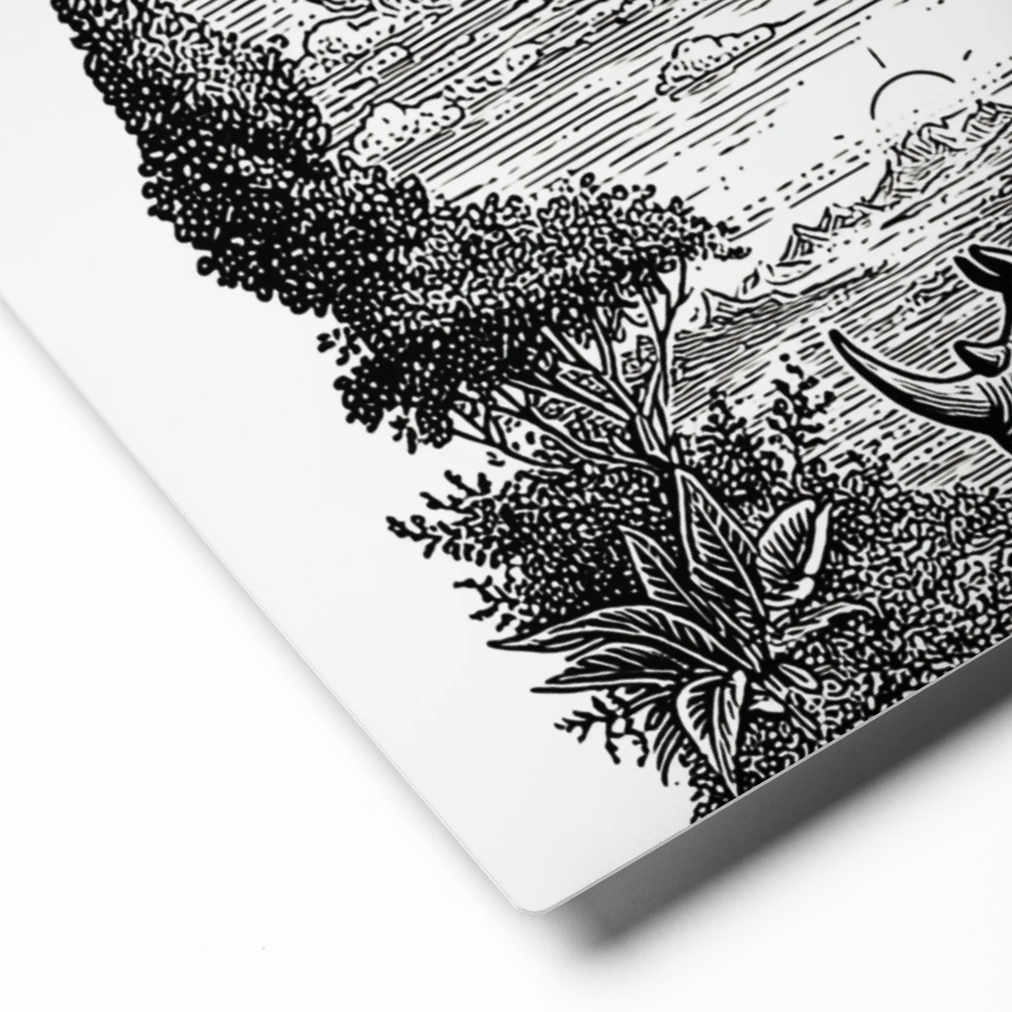 Rhinoceros Engraving | Art Print