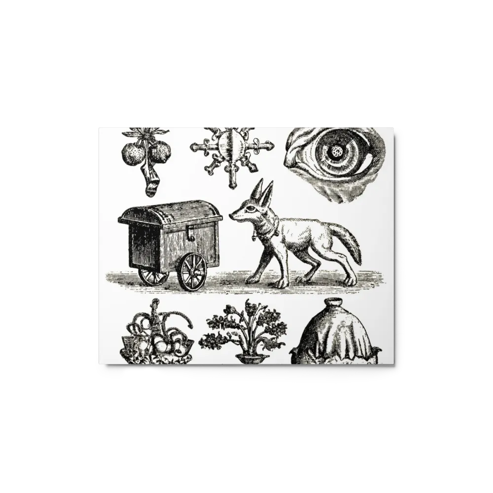 Curiosities Vintage Engraving Plate