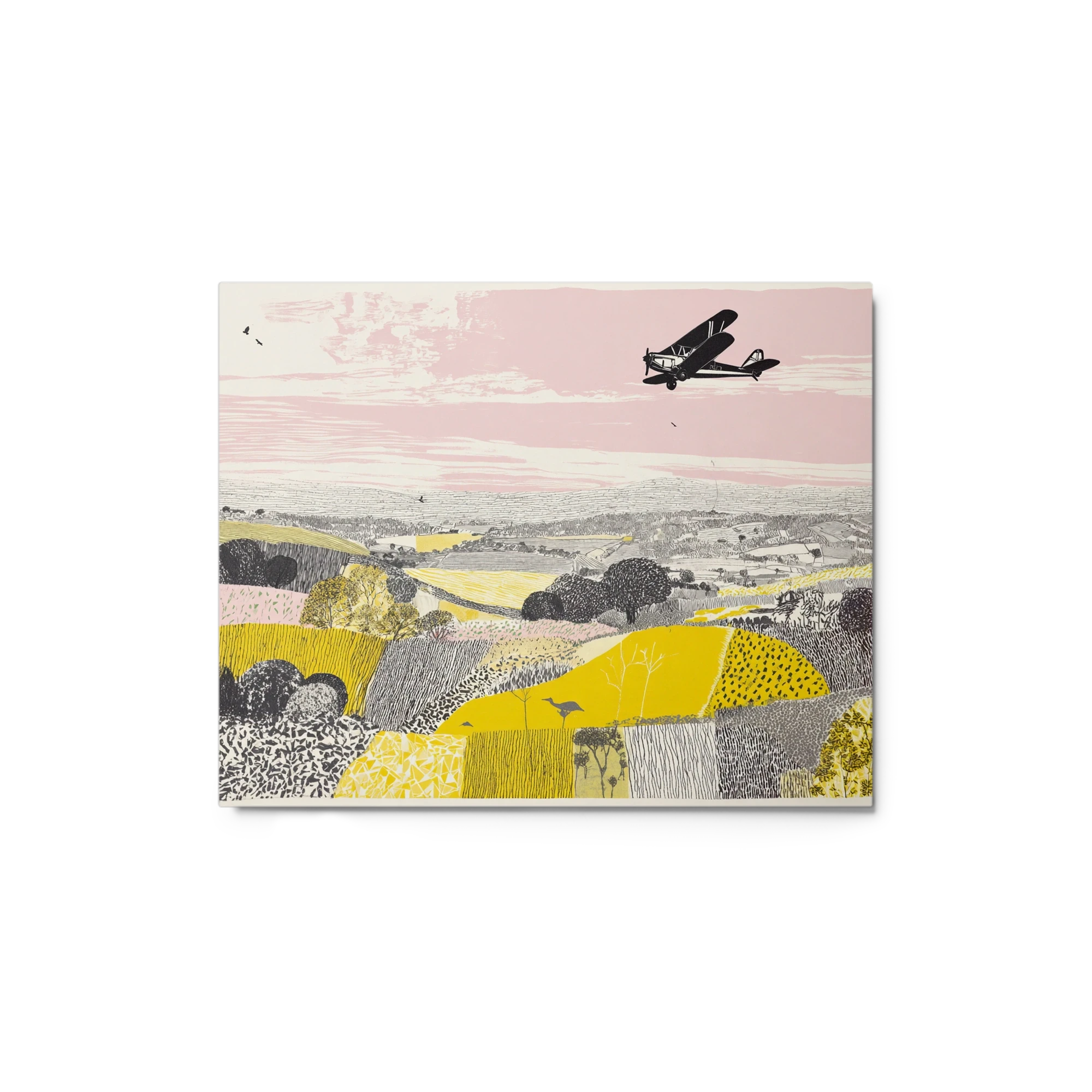 Biplane Over Pastoral Fields