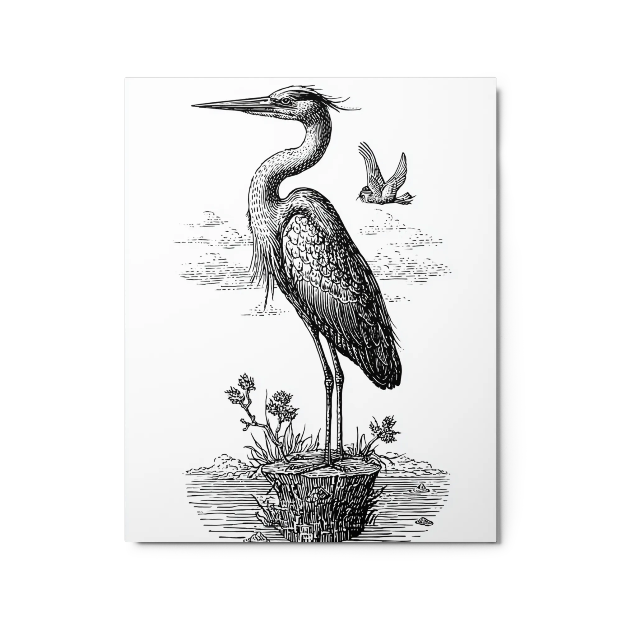 The Watchful Heron