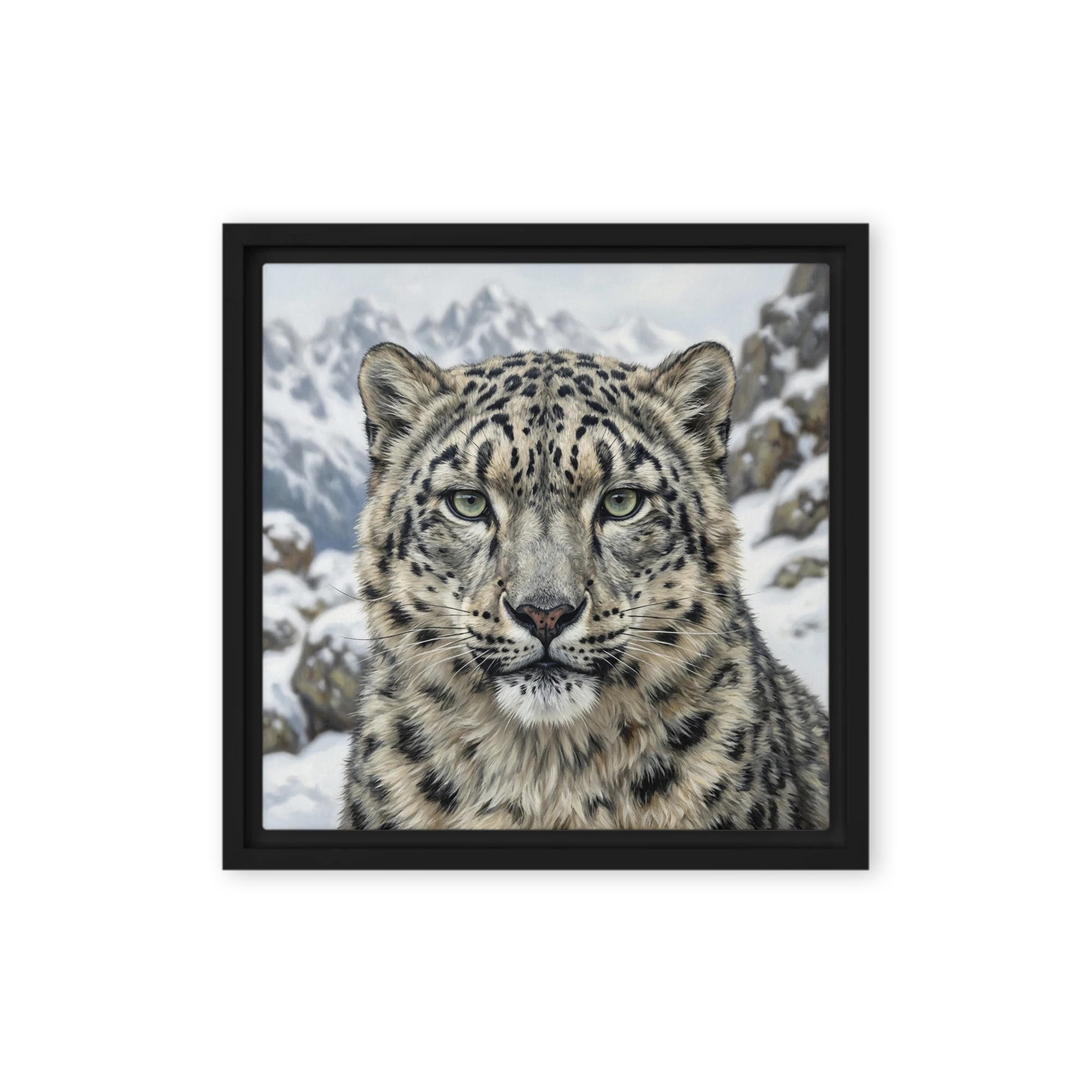 Gaze of the Snow Leopard | Art Print