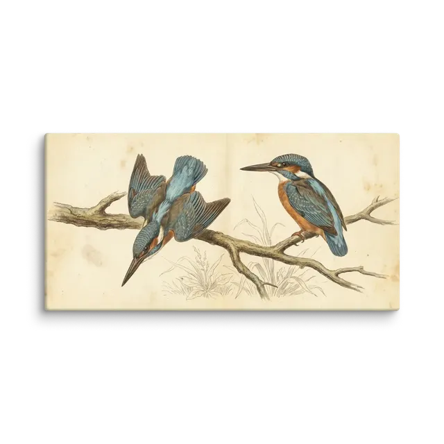 Kingfishers on Branch | Art Print
