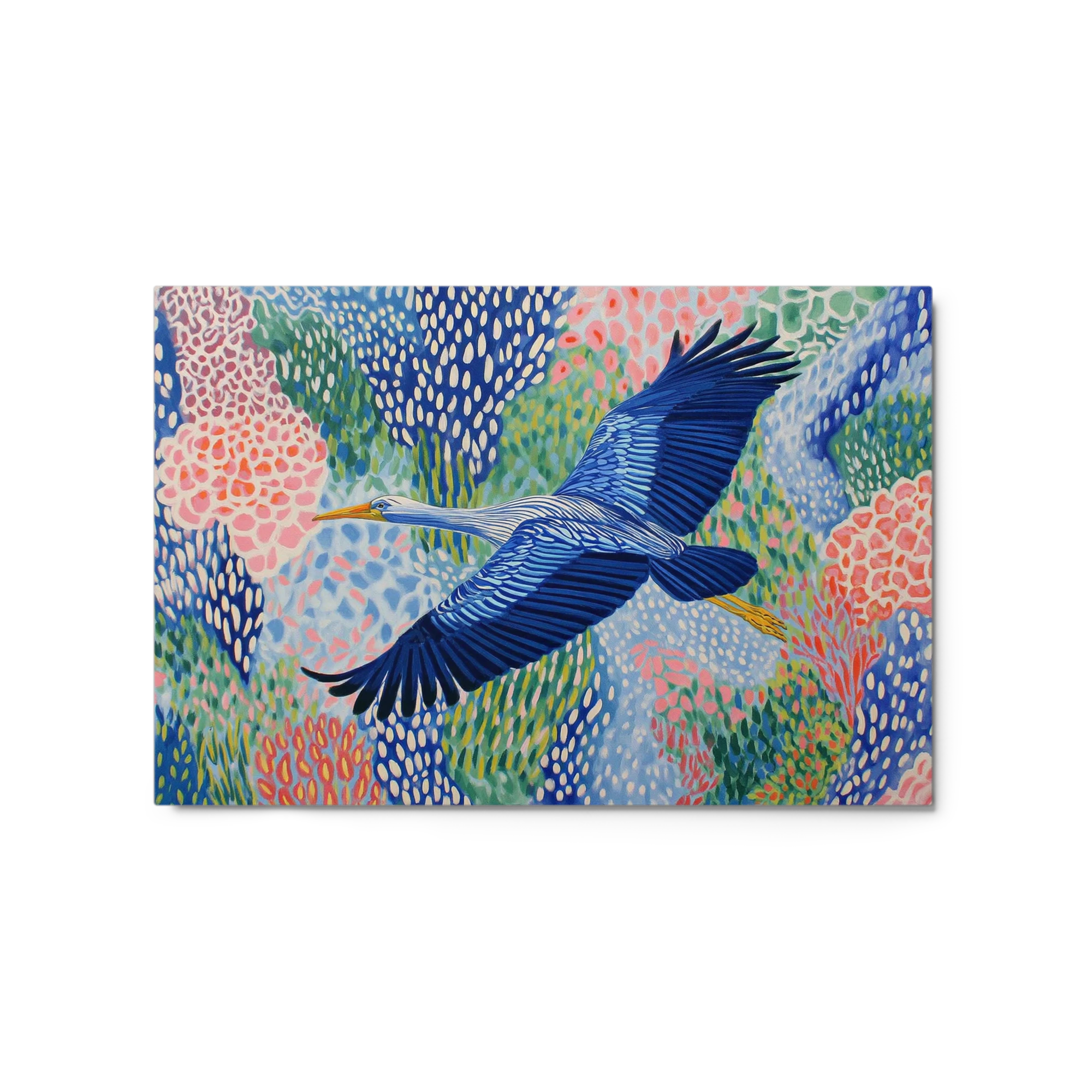 Azure Heron in Flight