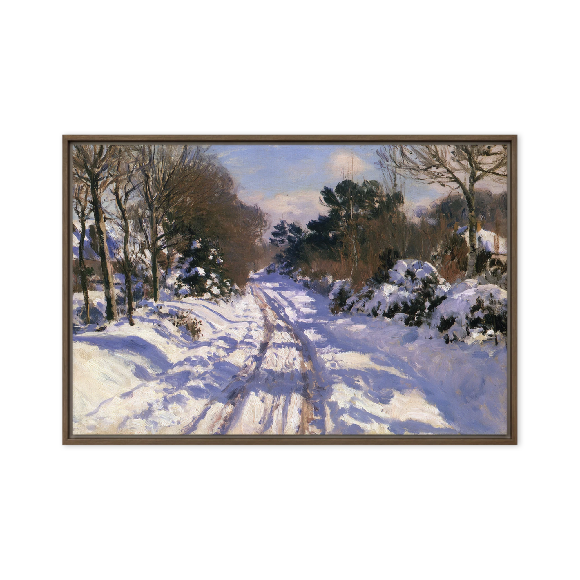 Winter Road in Sunlight