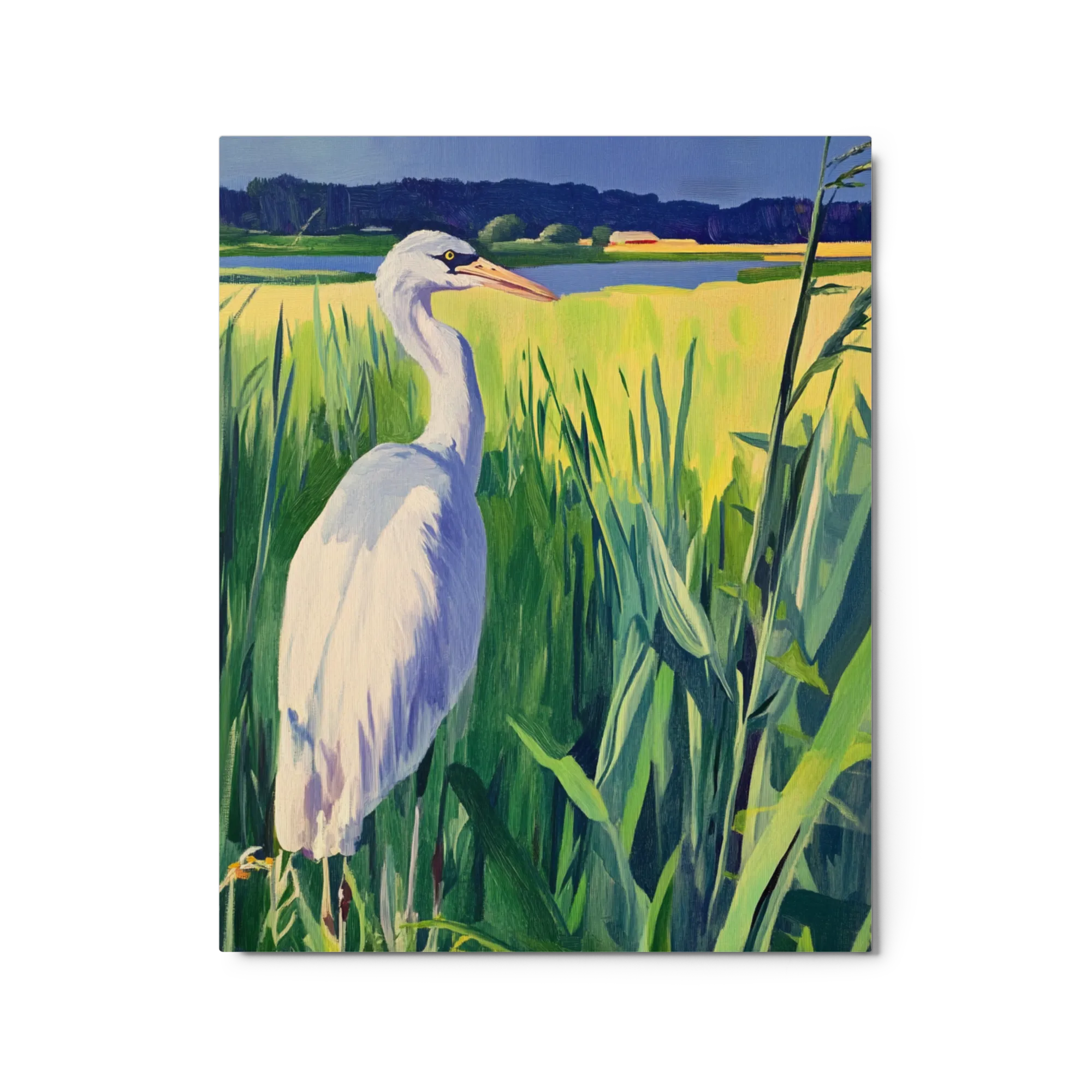 The Watchful Heron