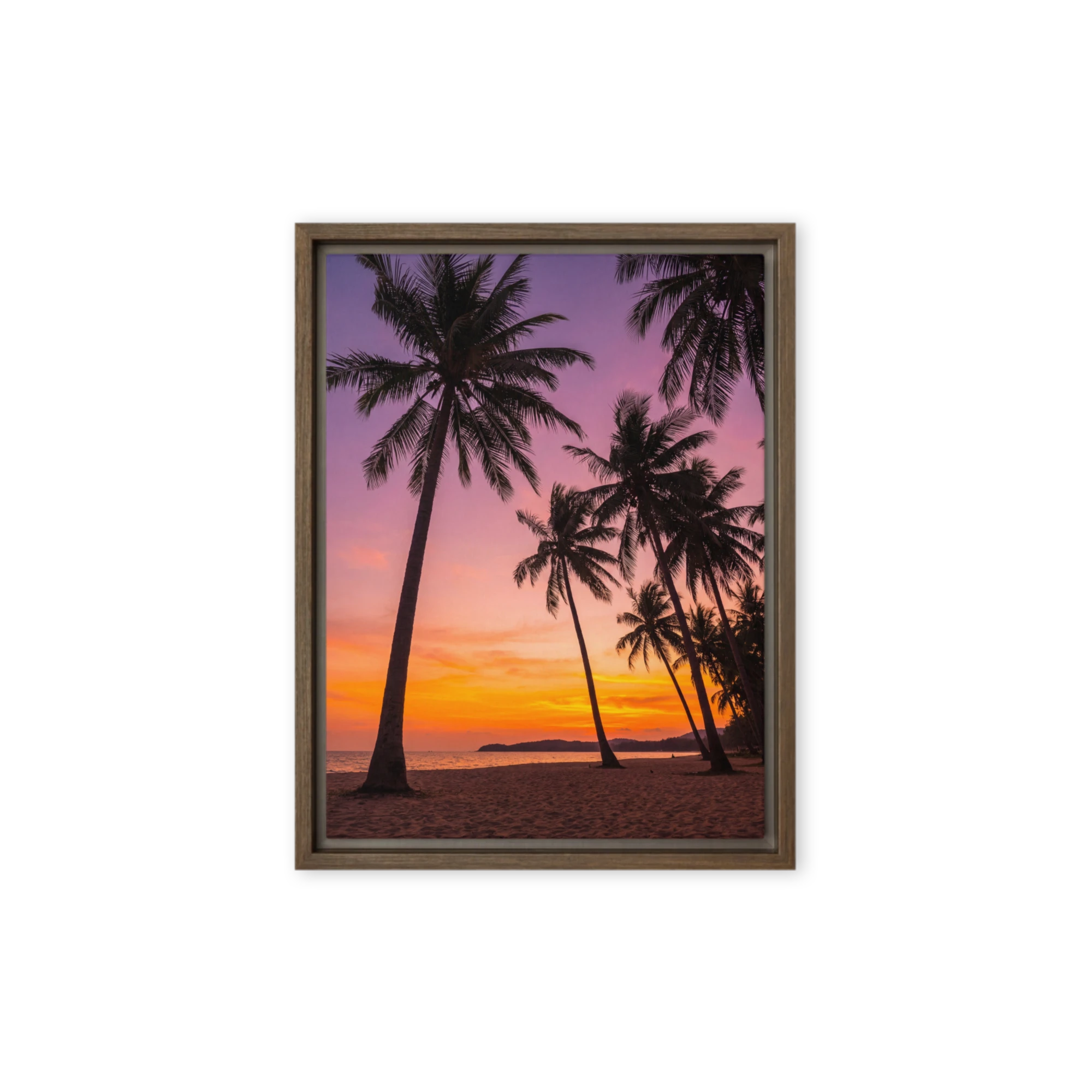 Tropical Horizon
