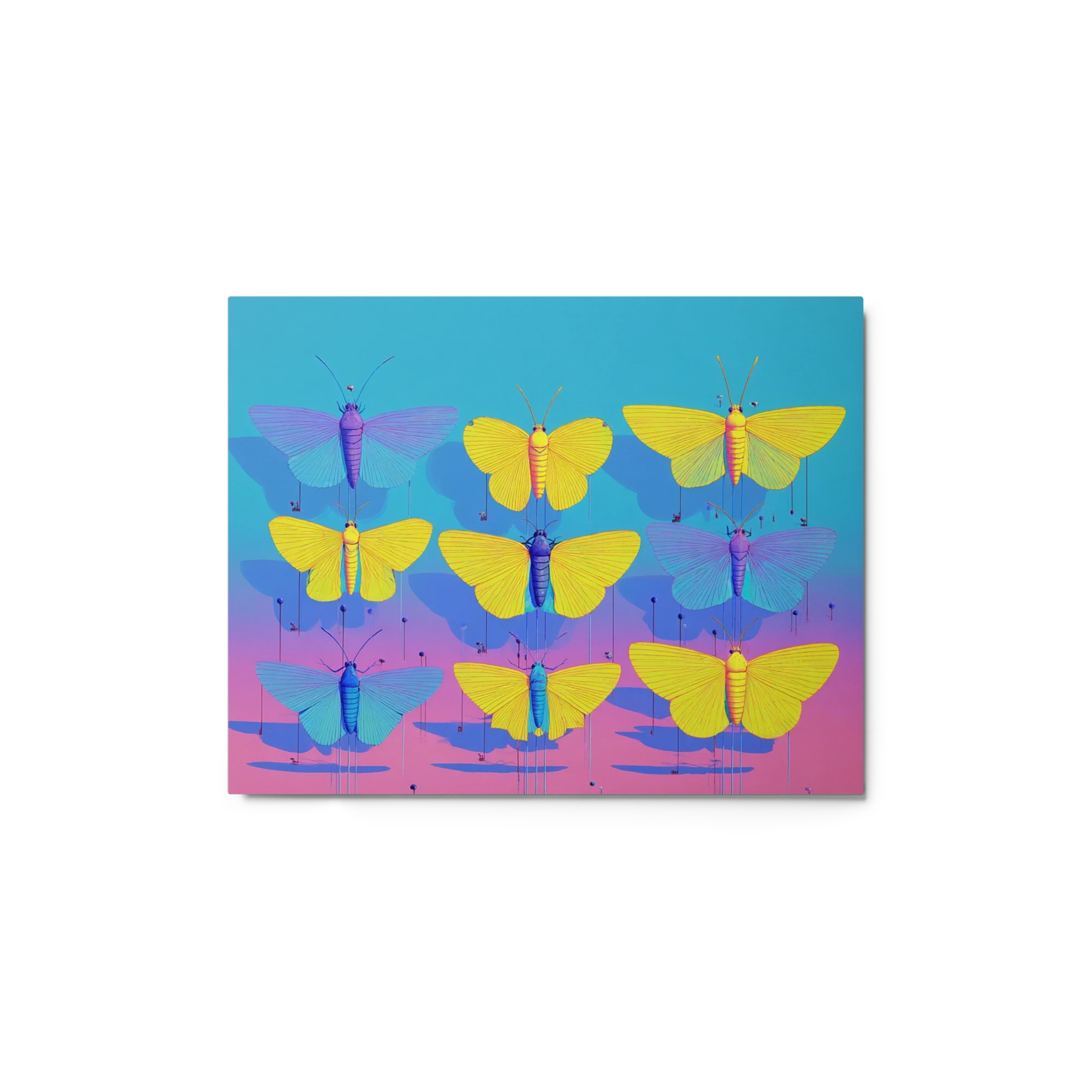 Butterfly Specimen Grid