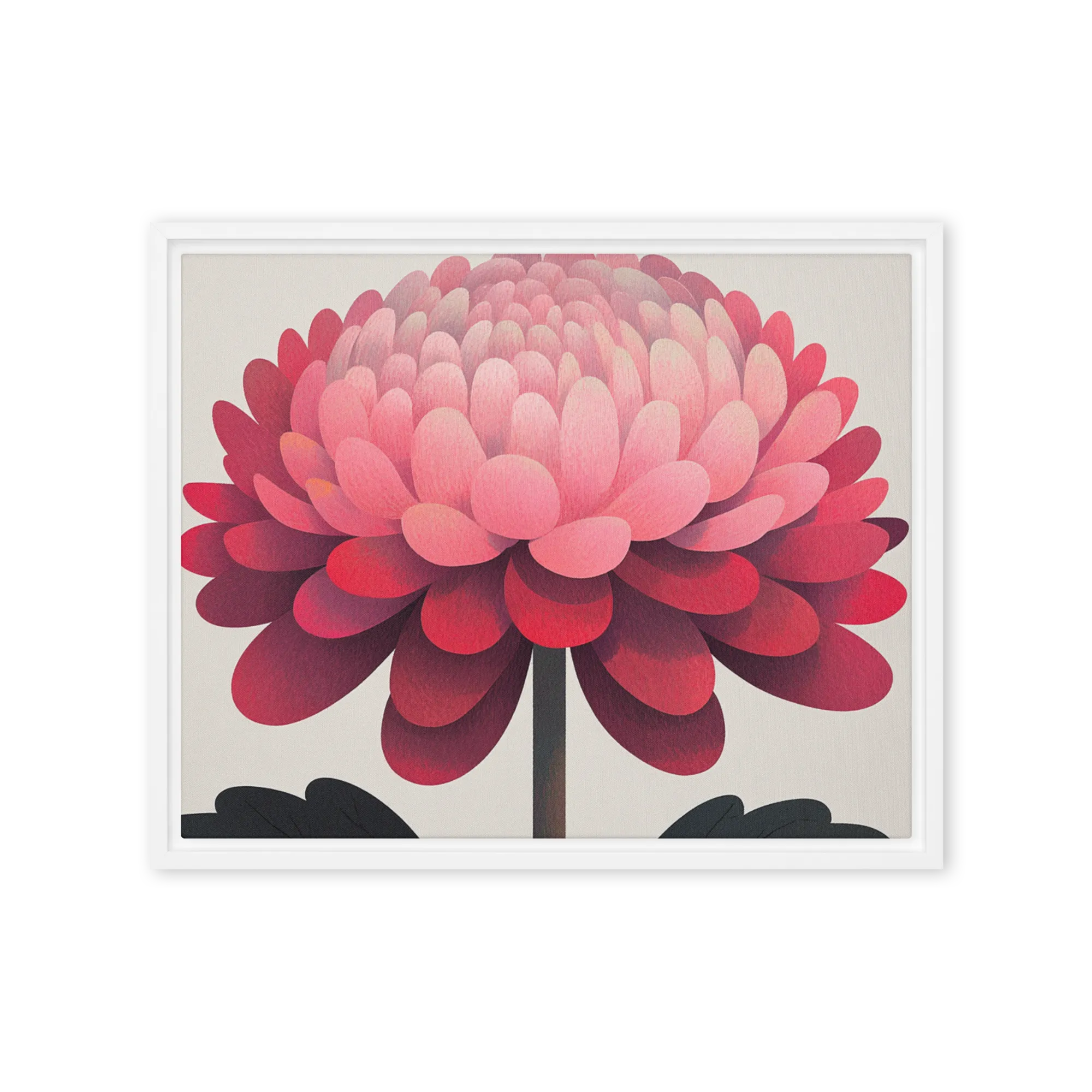 Crimson Chrysanthemum