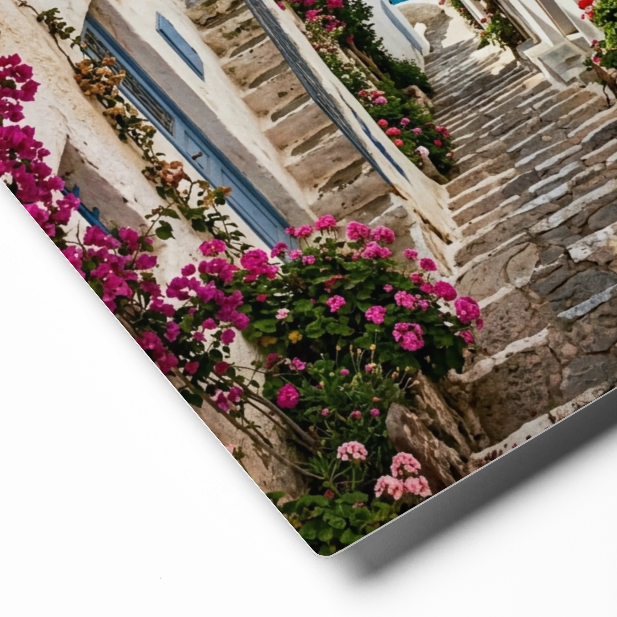 Bougainvillea Coastal Charm 
 Canvas with Black Frame