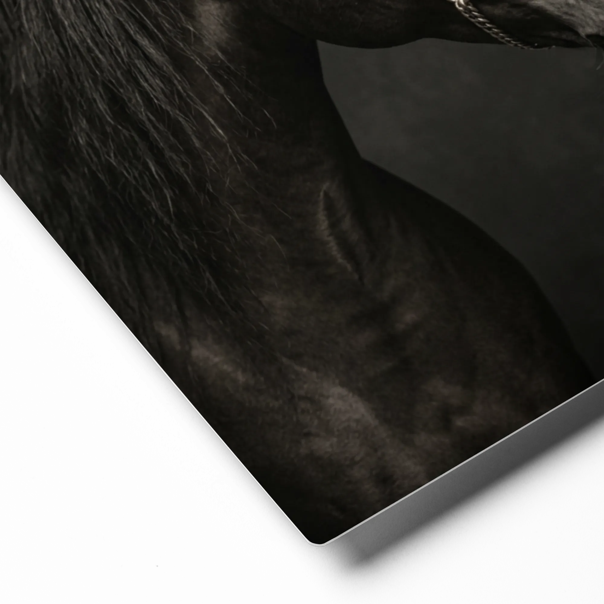 Dark Elegance 
 Metal Print | 16″x 20″