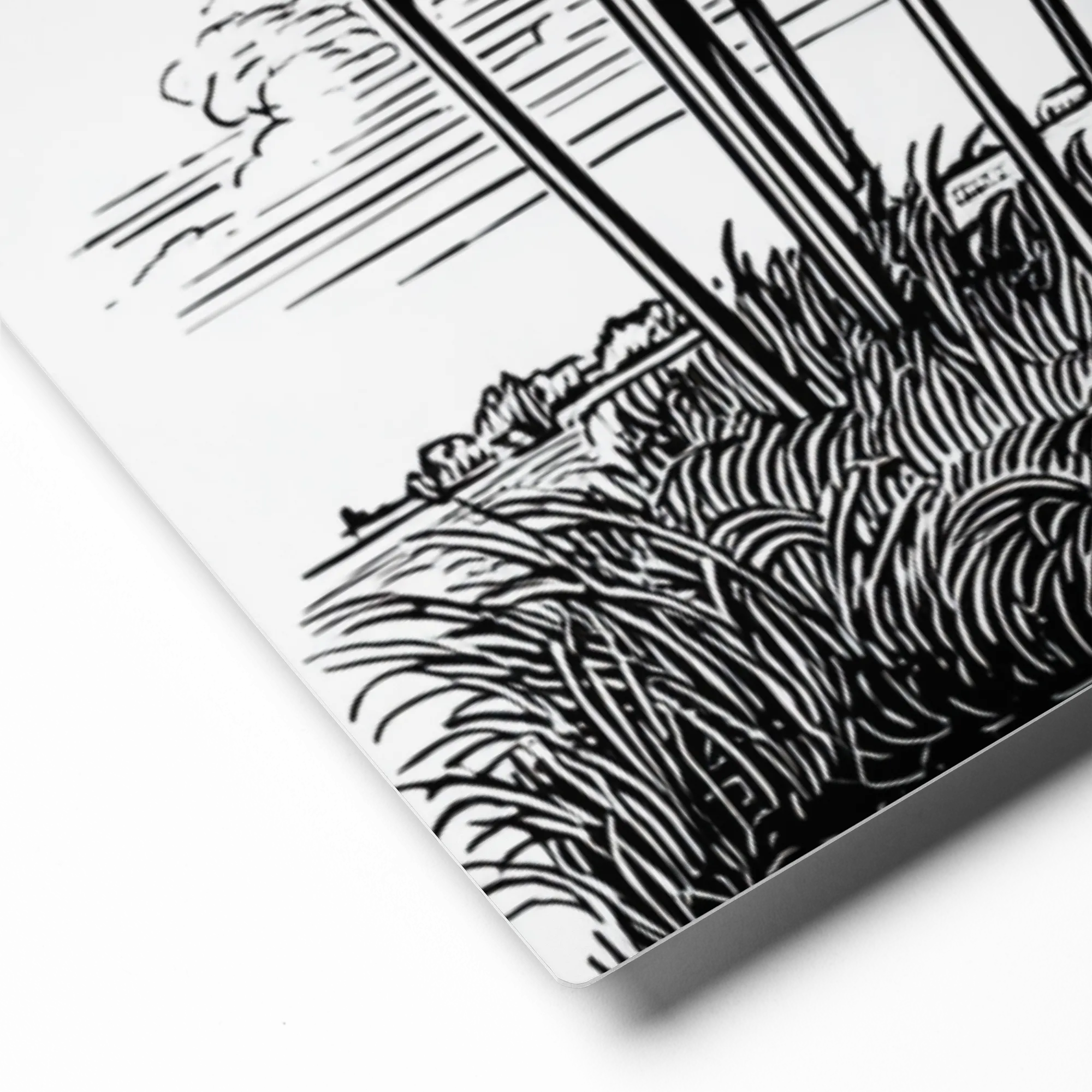 Riverside Reeds 
 Canvas with Black Frame