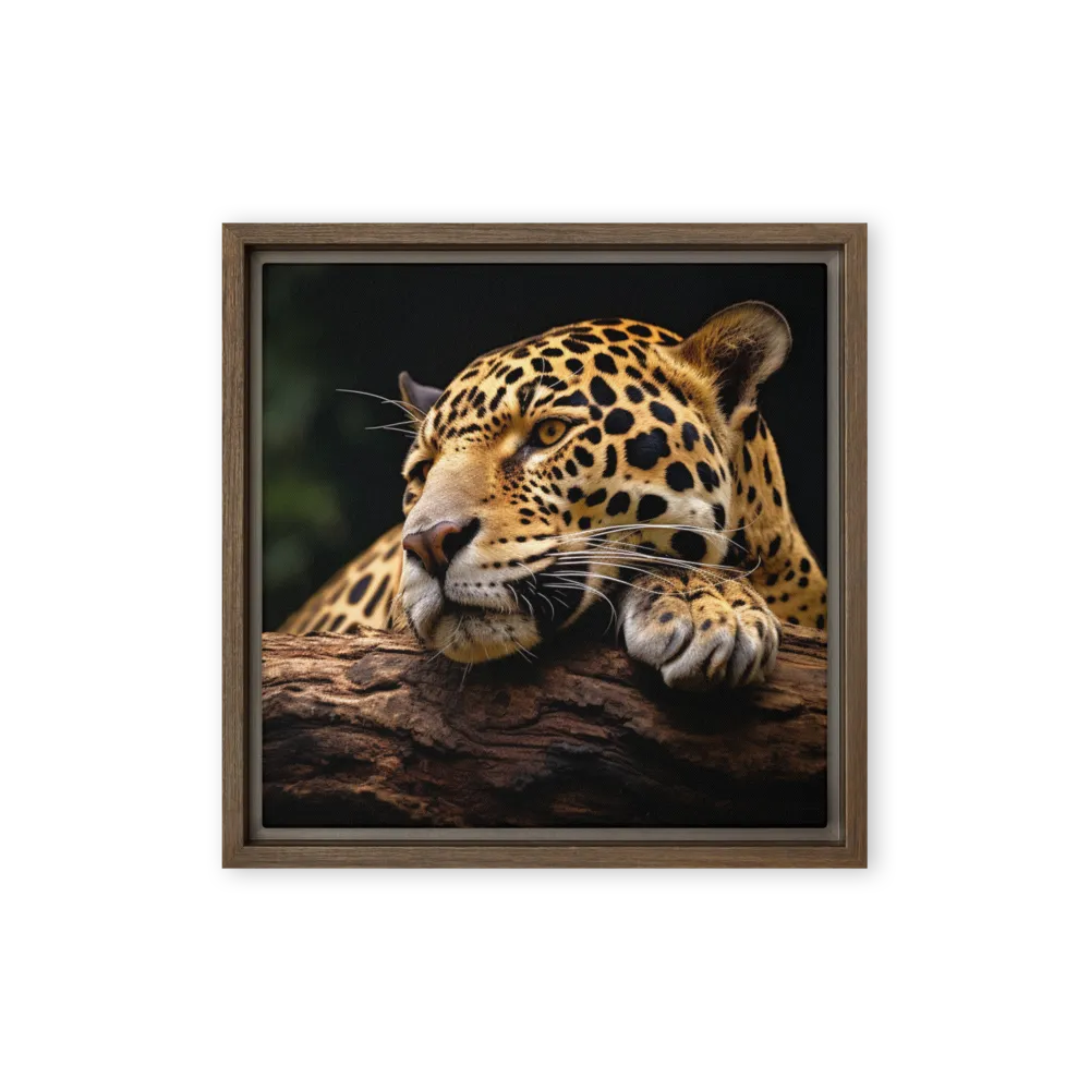 Fine Art Photography Wall Art — Fine Art Lens