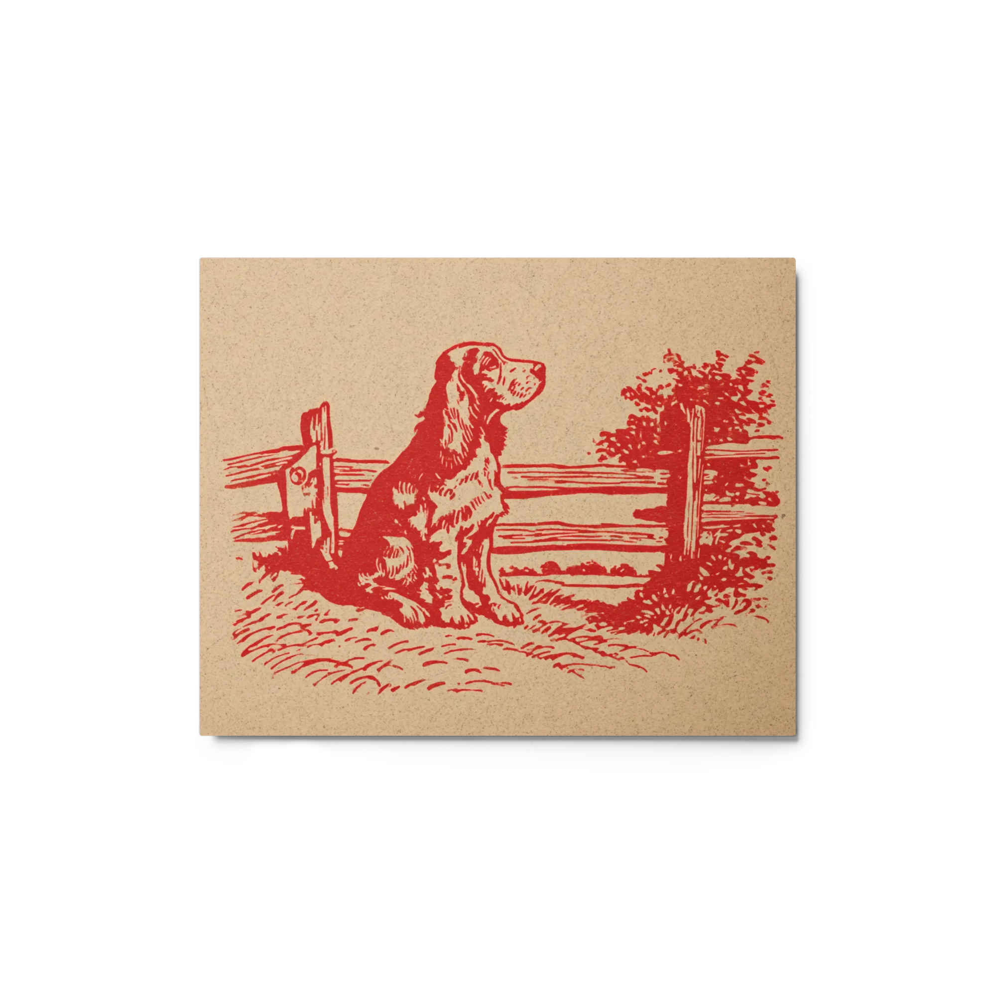 The Watchful Setter