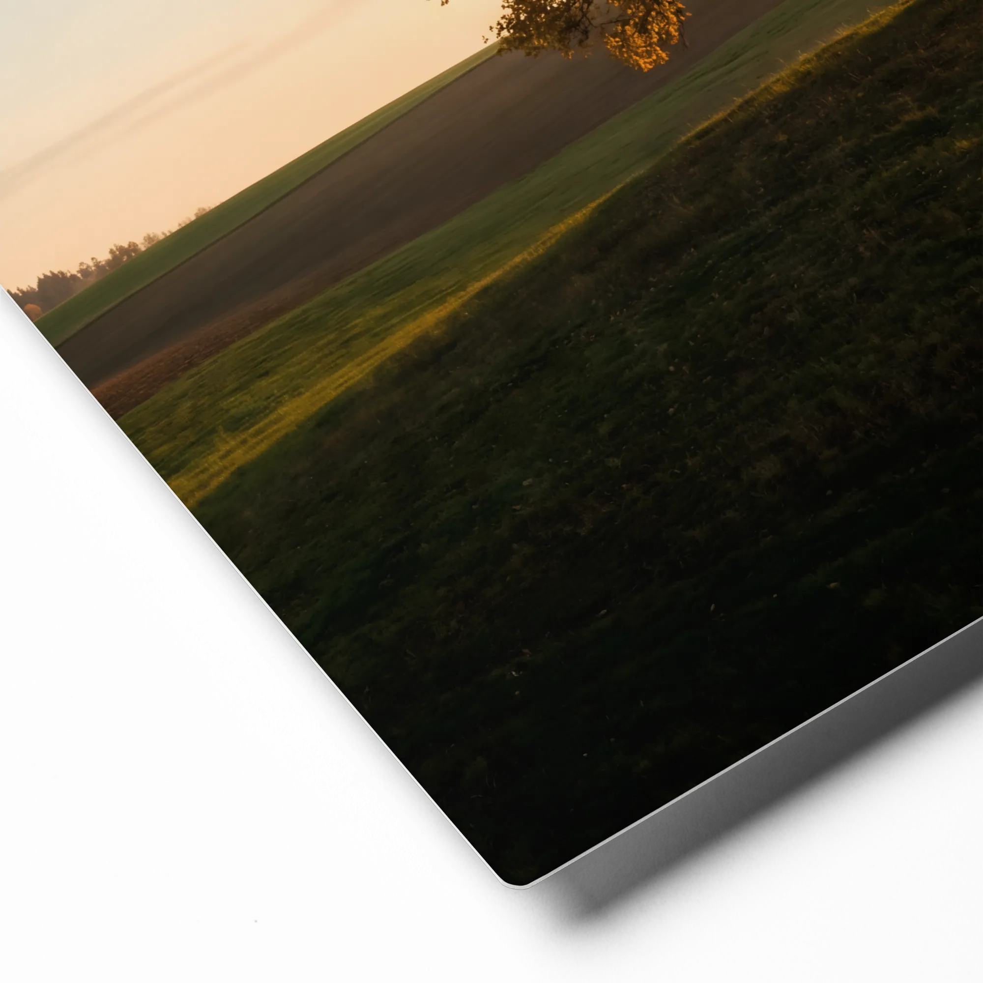 Golden Hour Tree 
 Canvas with Black Frame