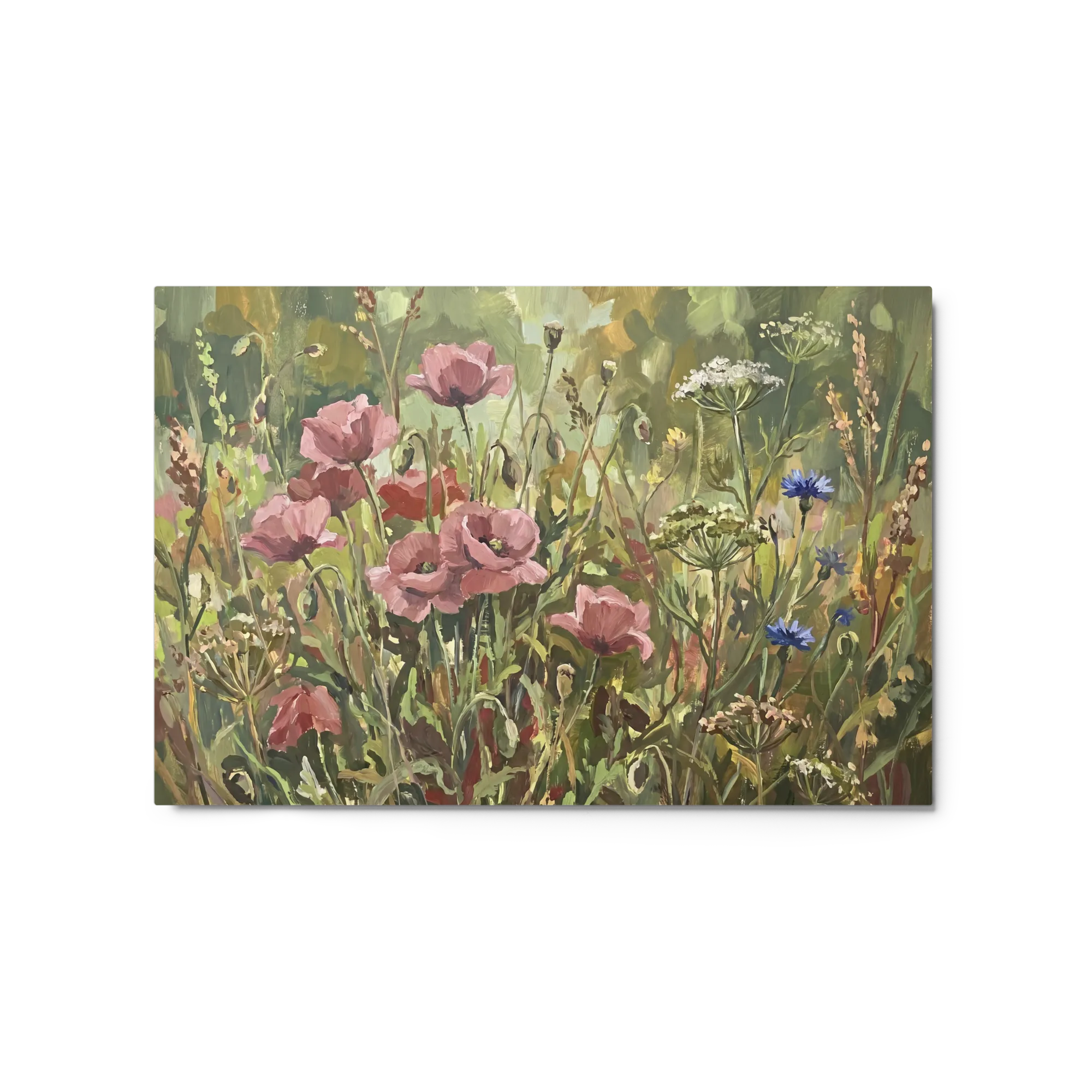 Poppy Meadow in Bloom