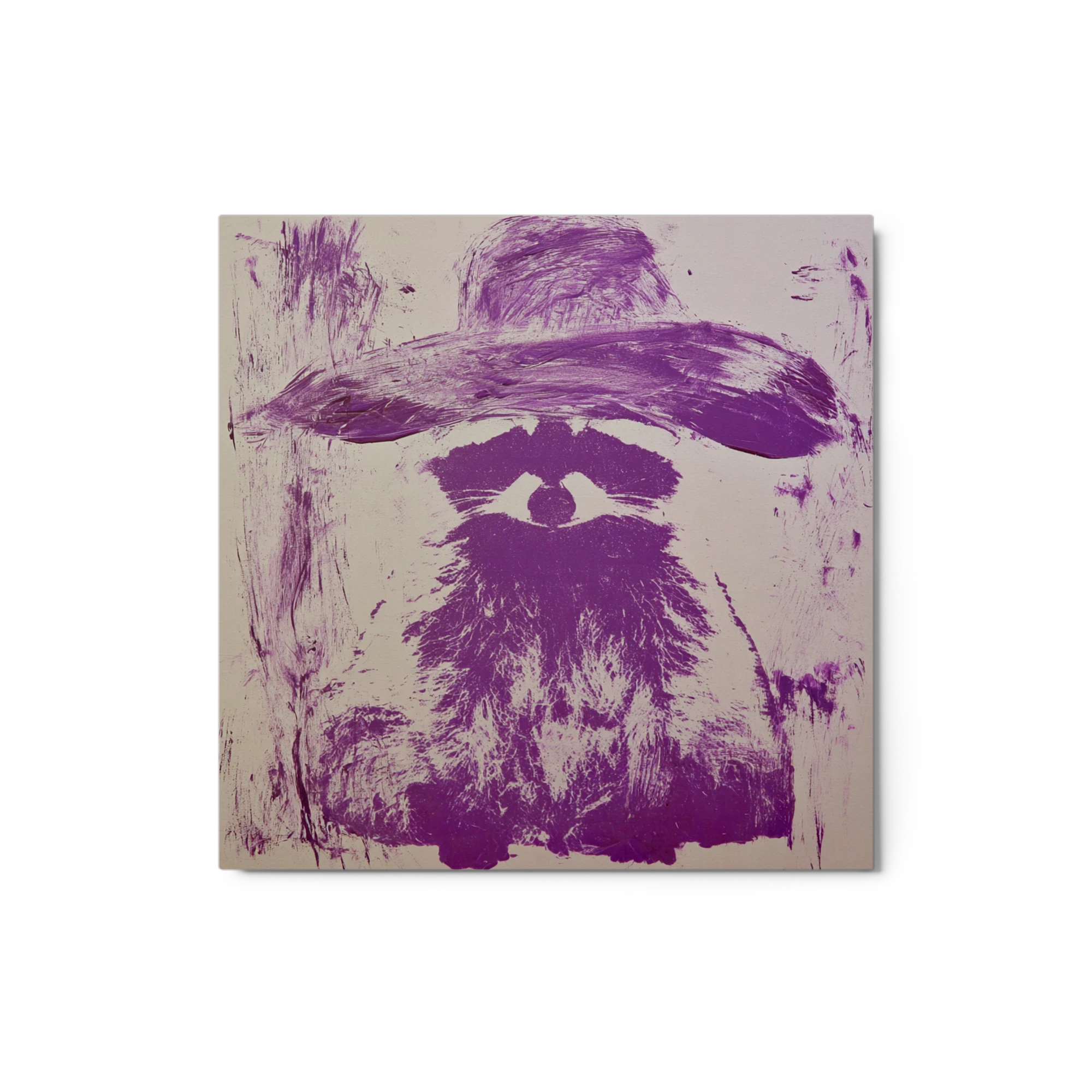 Raccoon in Wide Hat