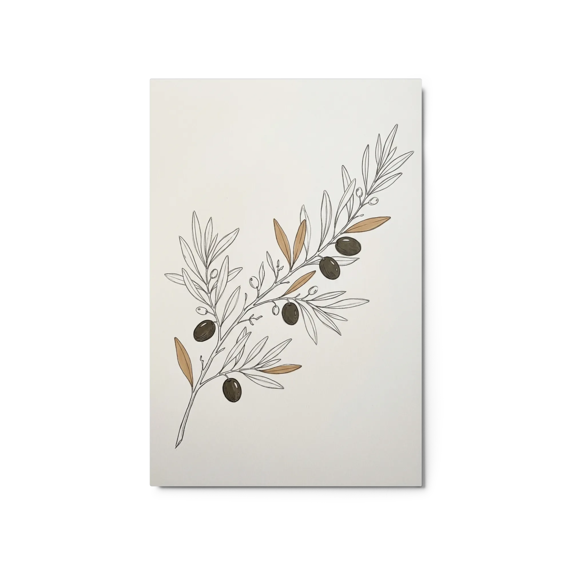 Olive Branch
