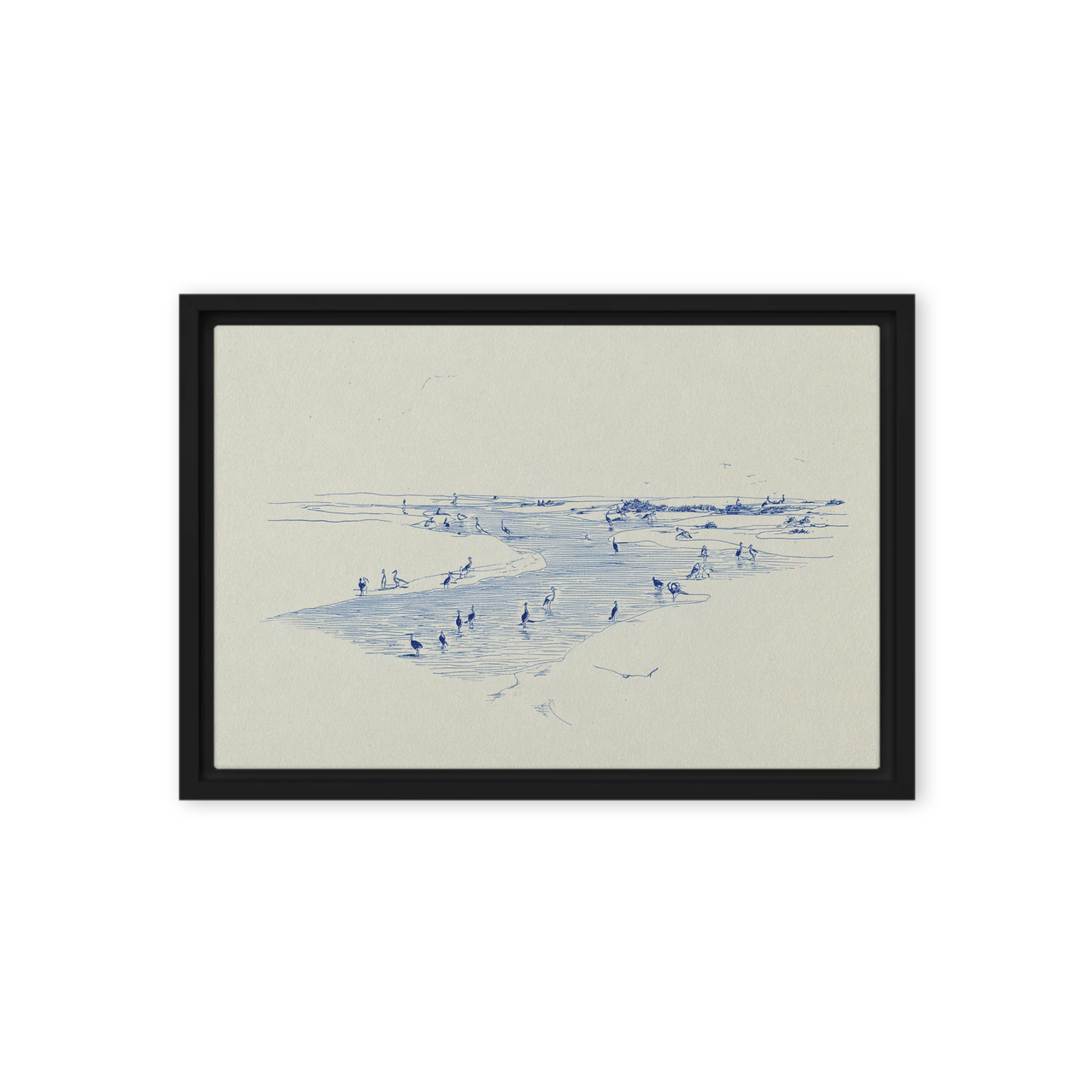 Marshland Wading Birds