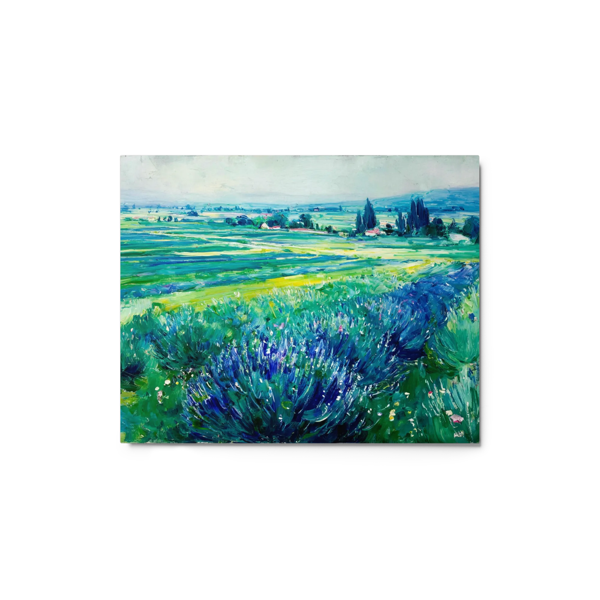 Lavender Fields in Bloom