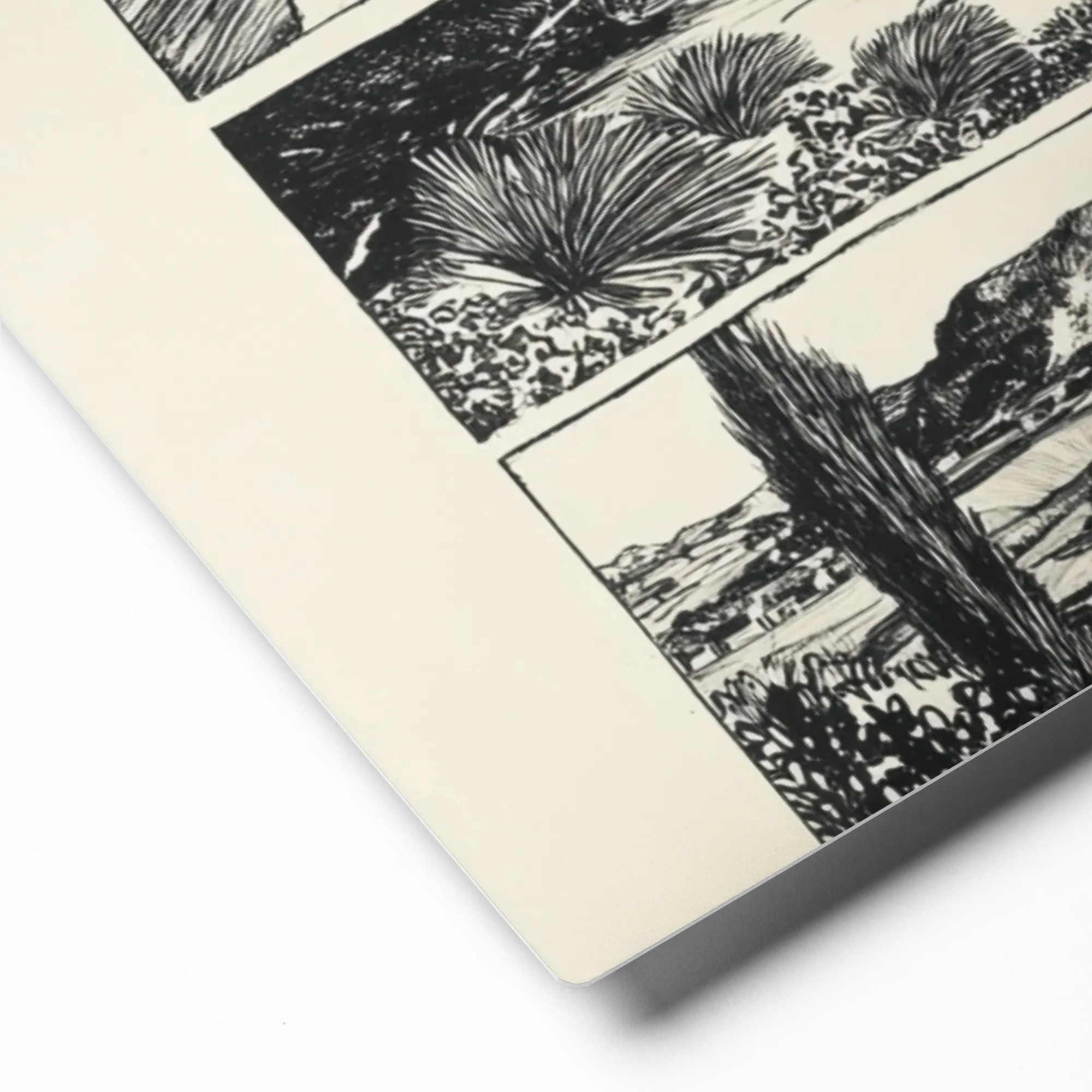 Four Views of the Valley 
 Canvas | 20″x 20″