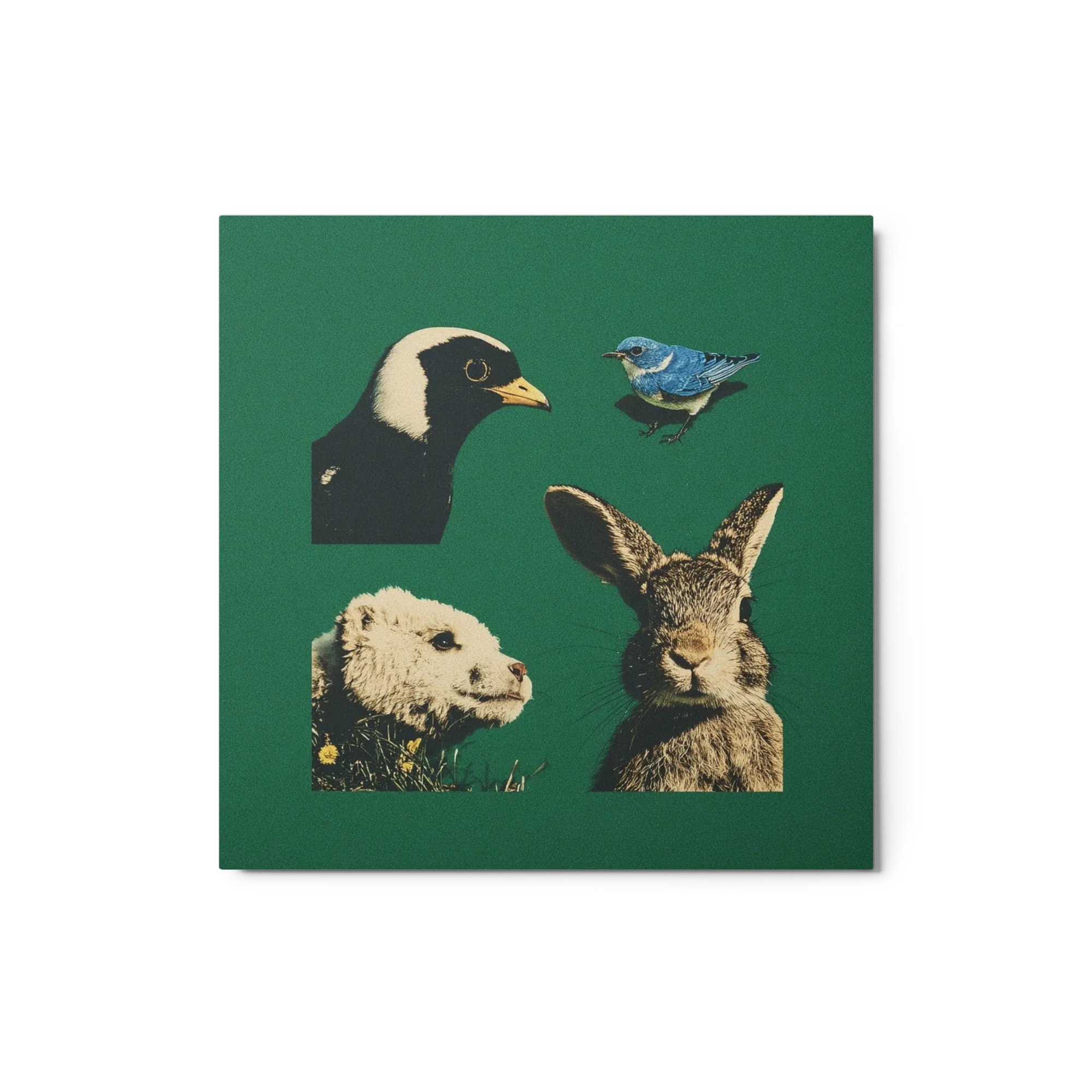 Forest Companions