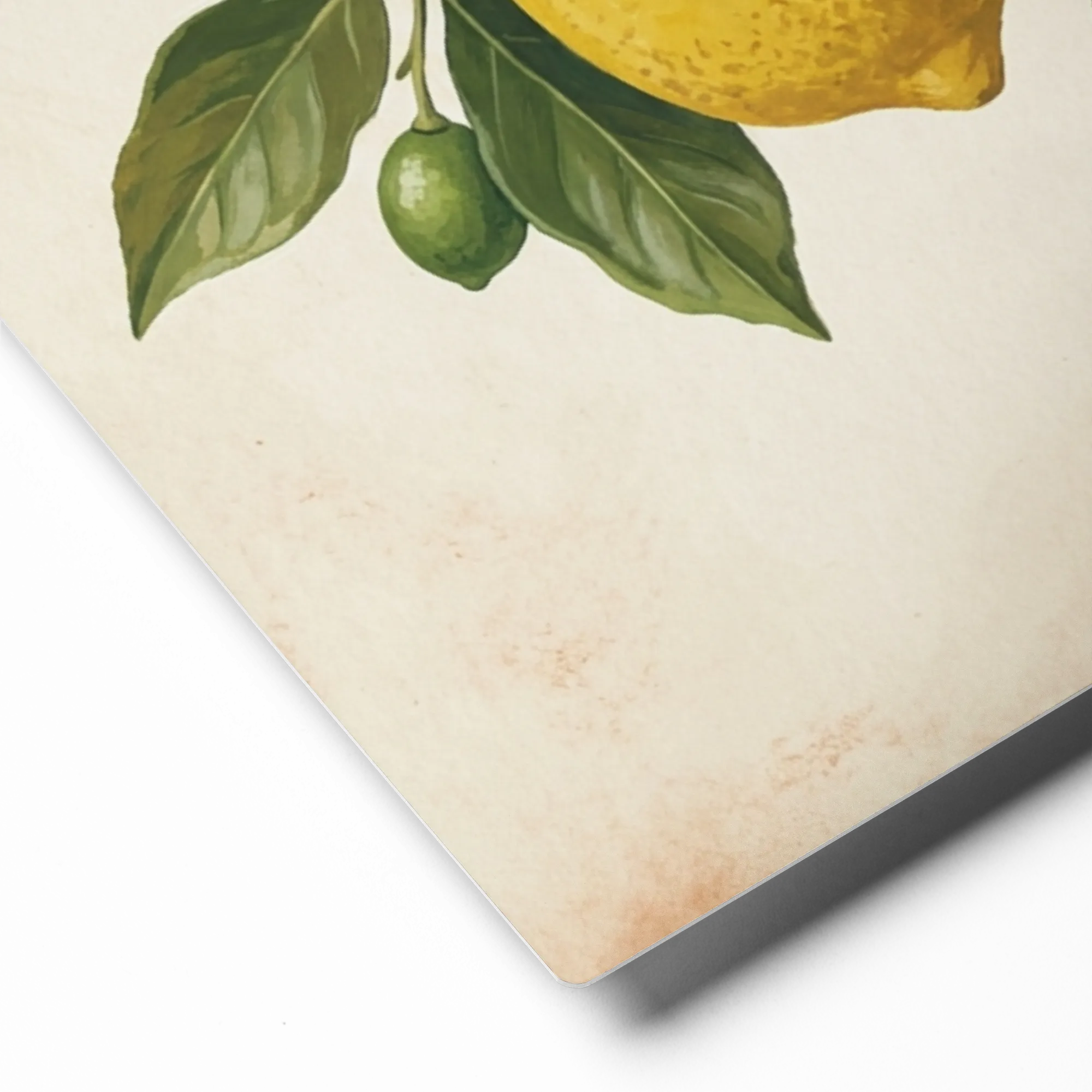 Mediterranean Harvest 
 Metal Print | 16″x 20″