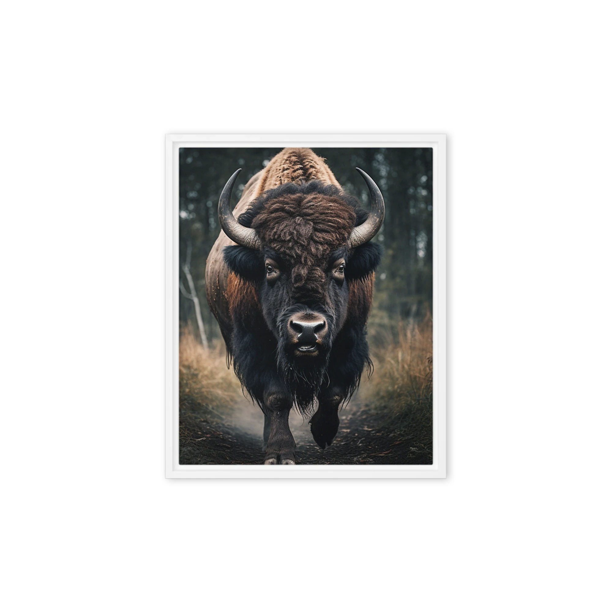 Bison in Forest Photograph