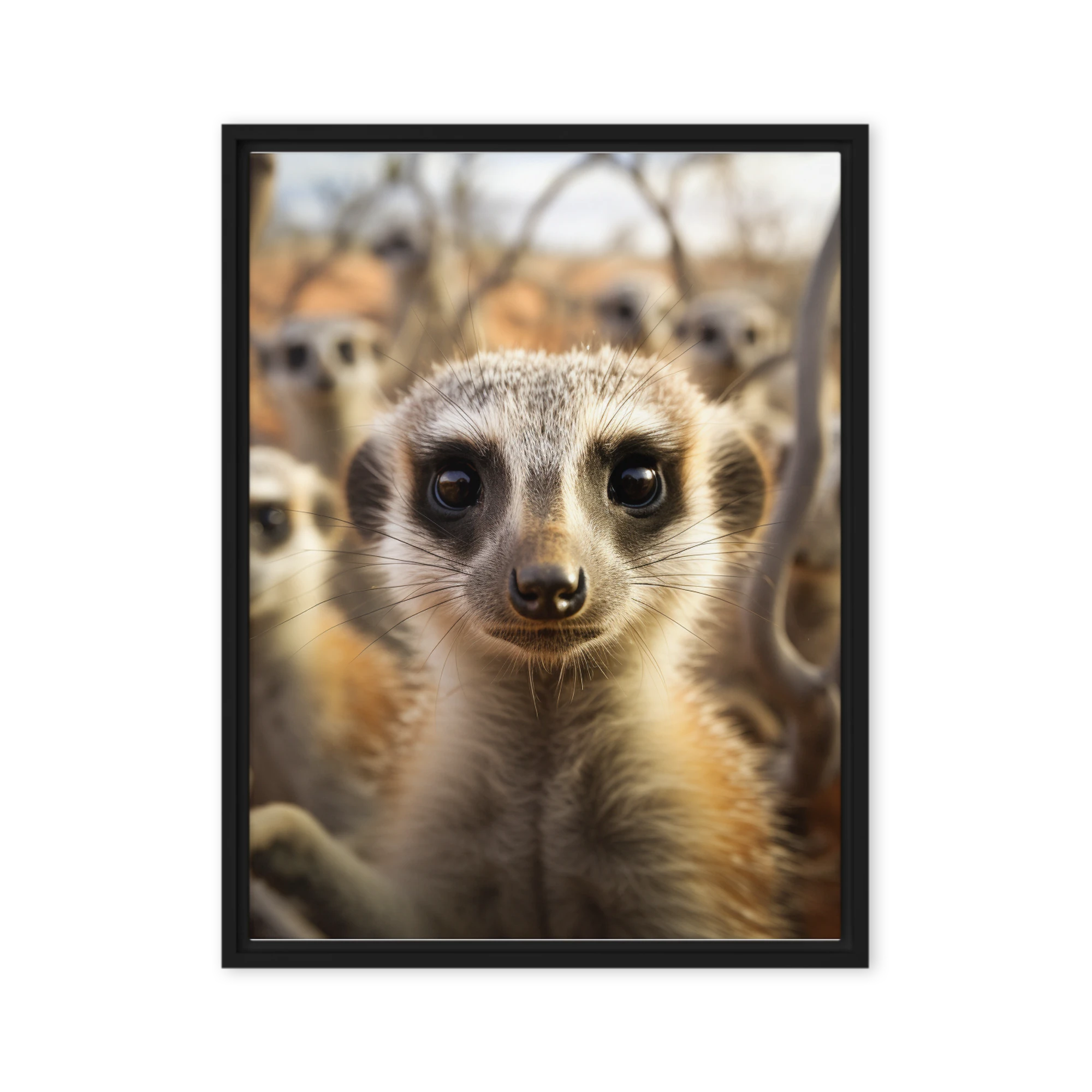 Curious Meerkat Portrait | Art Print