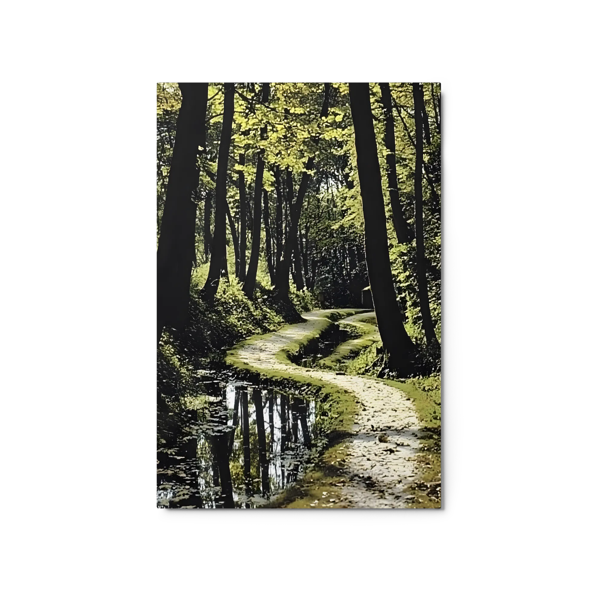Sentiero Sinuoso nella Foresta