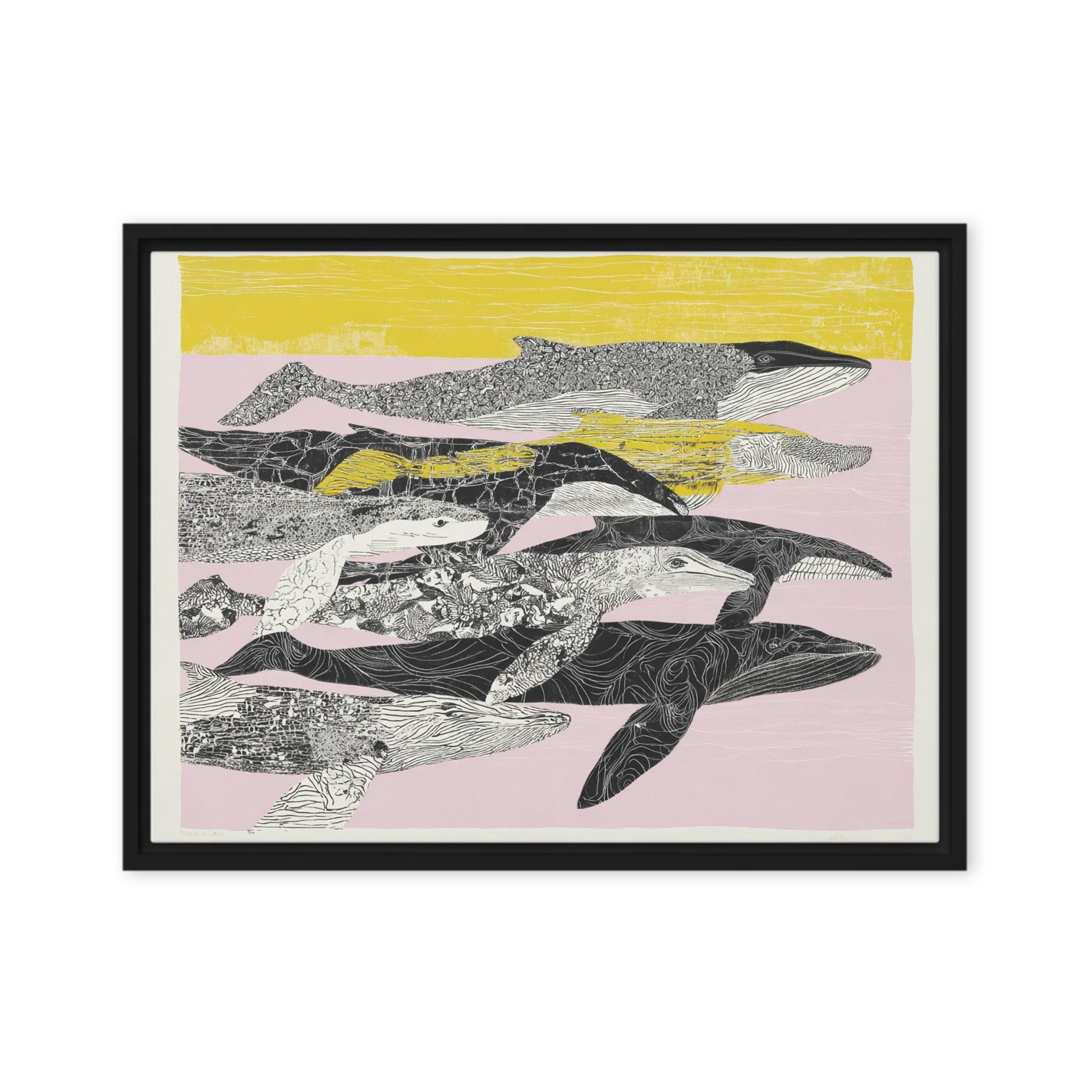 Whales in Pattern