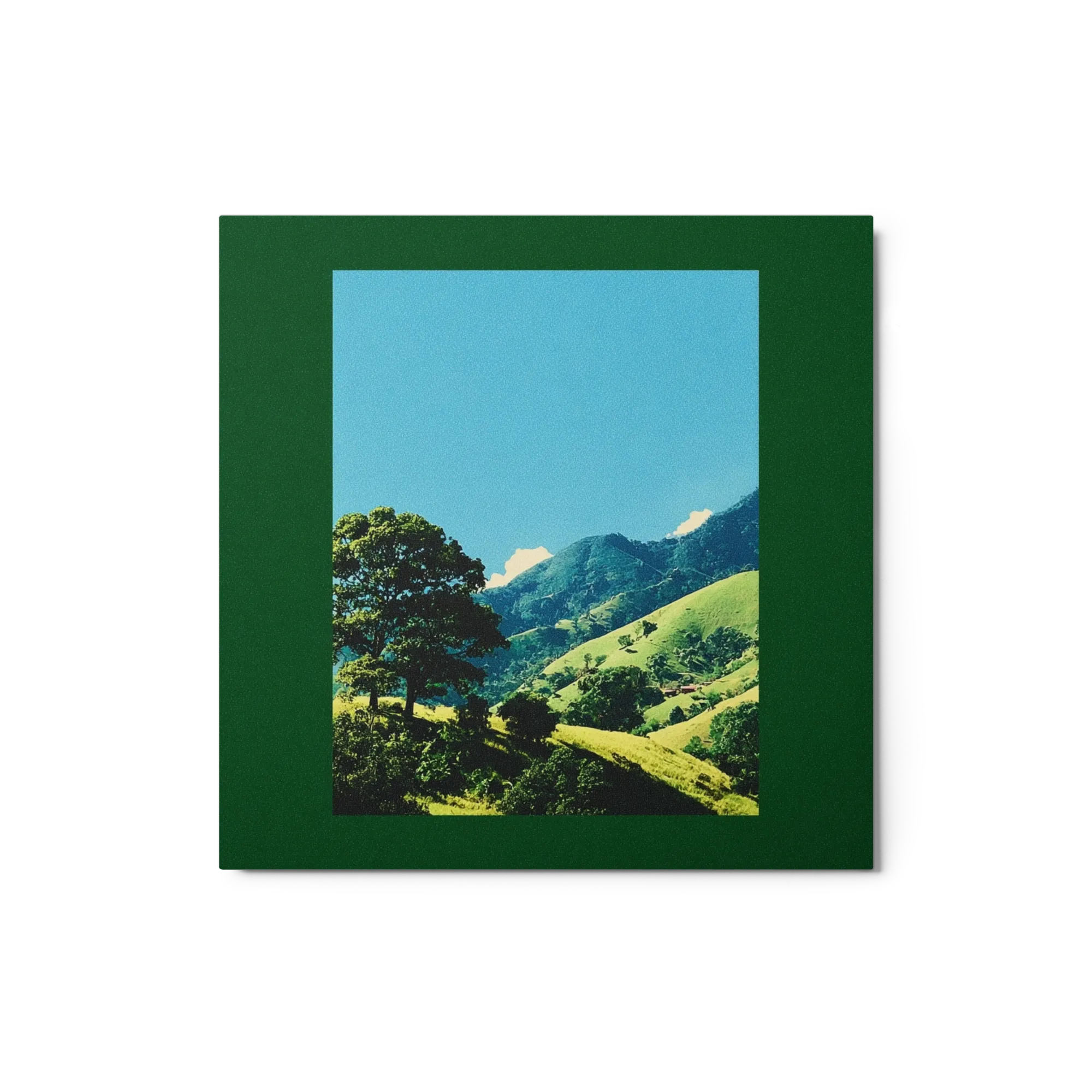 Sunlit Mountain Pastures