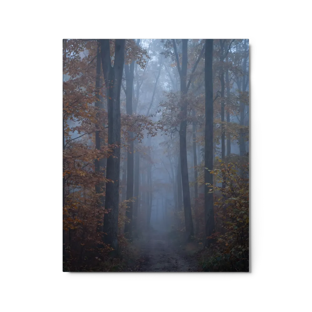 Path Through the Fog 
 Metal Print | 16″x 20″